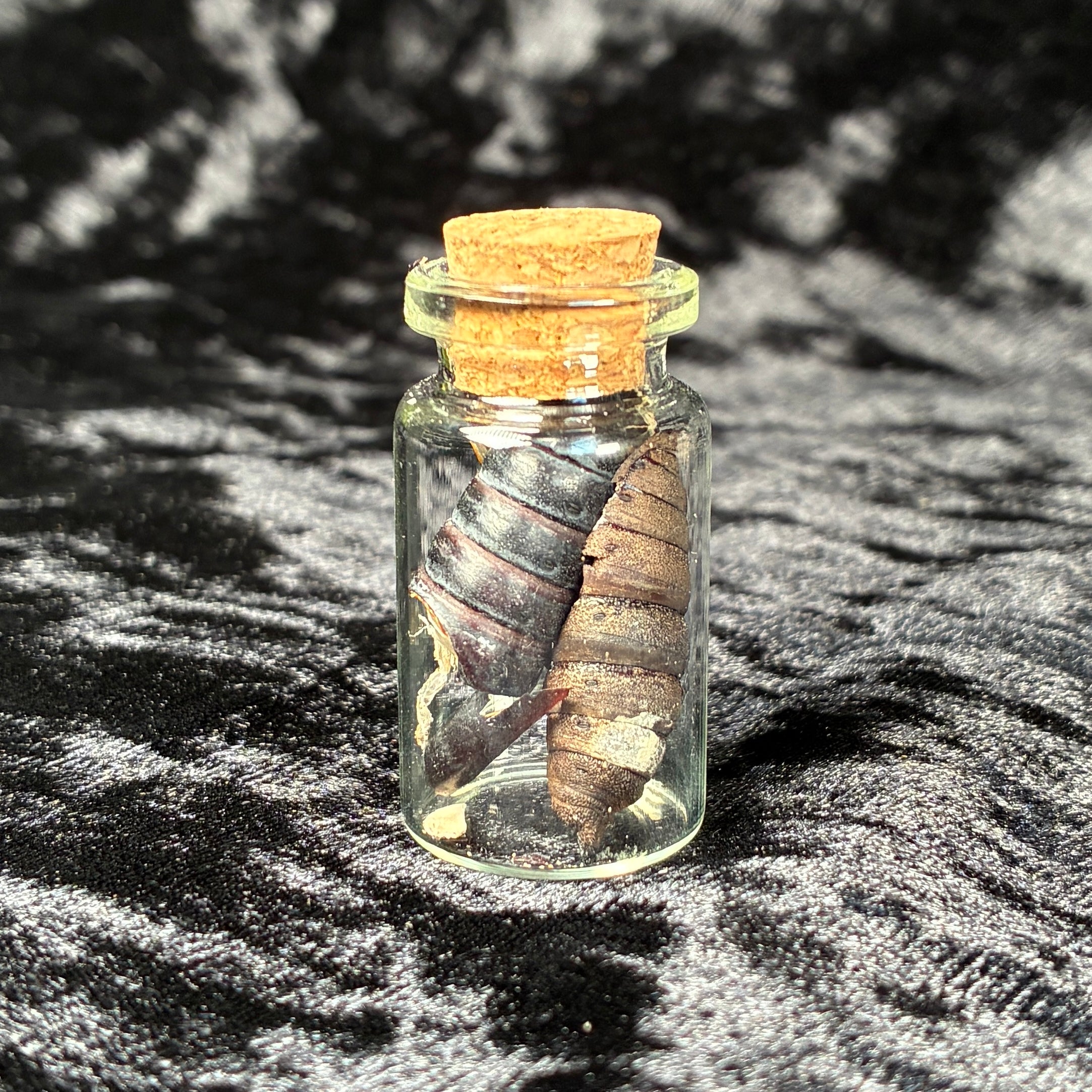 Mixed oddity jar/vial bundle