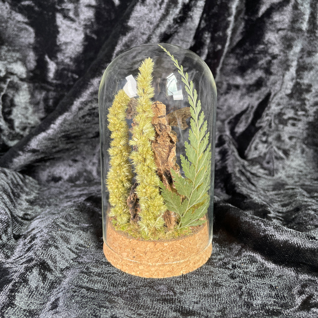 Bumblebee & book dome