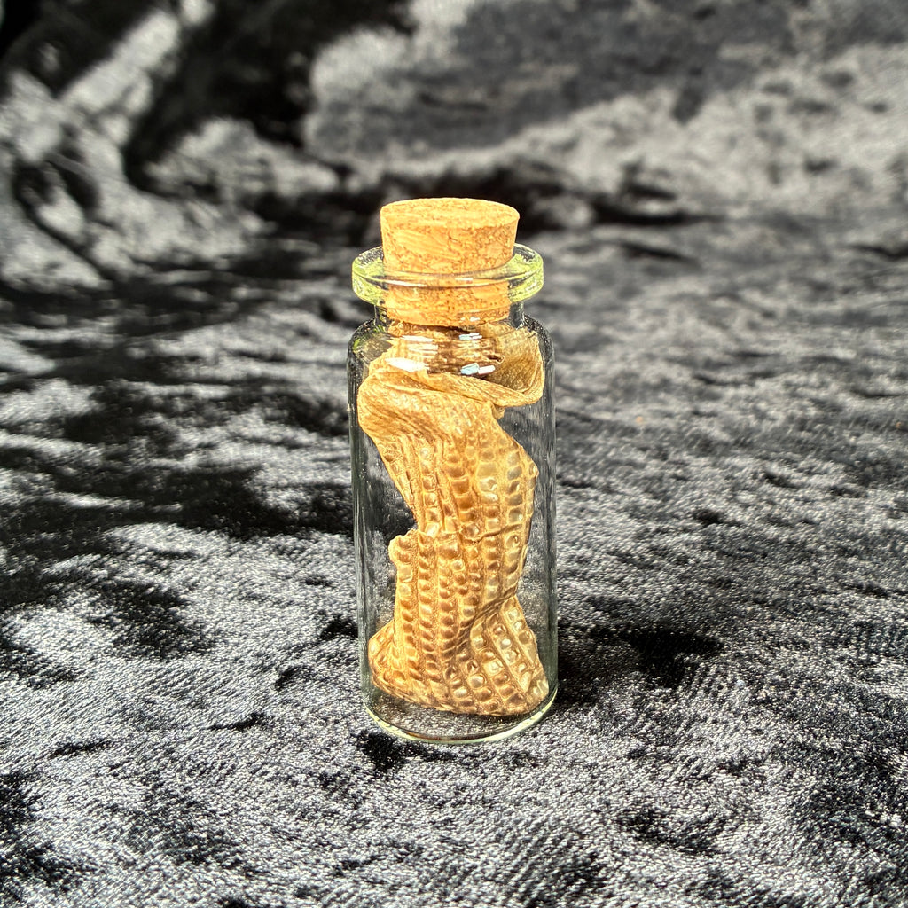 Oddity jar bundle, curio & specimen vials