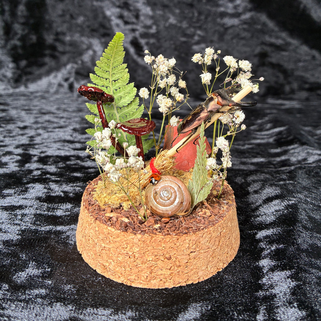 Metallic stag beetle specimen dome