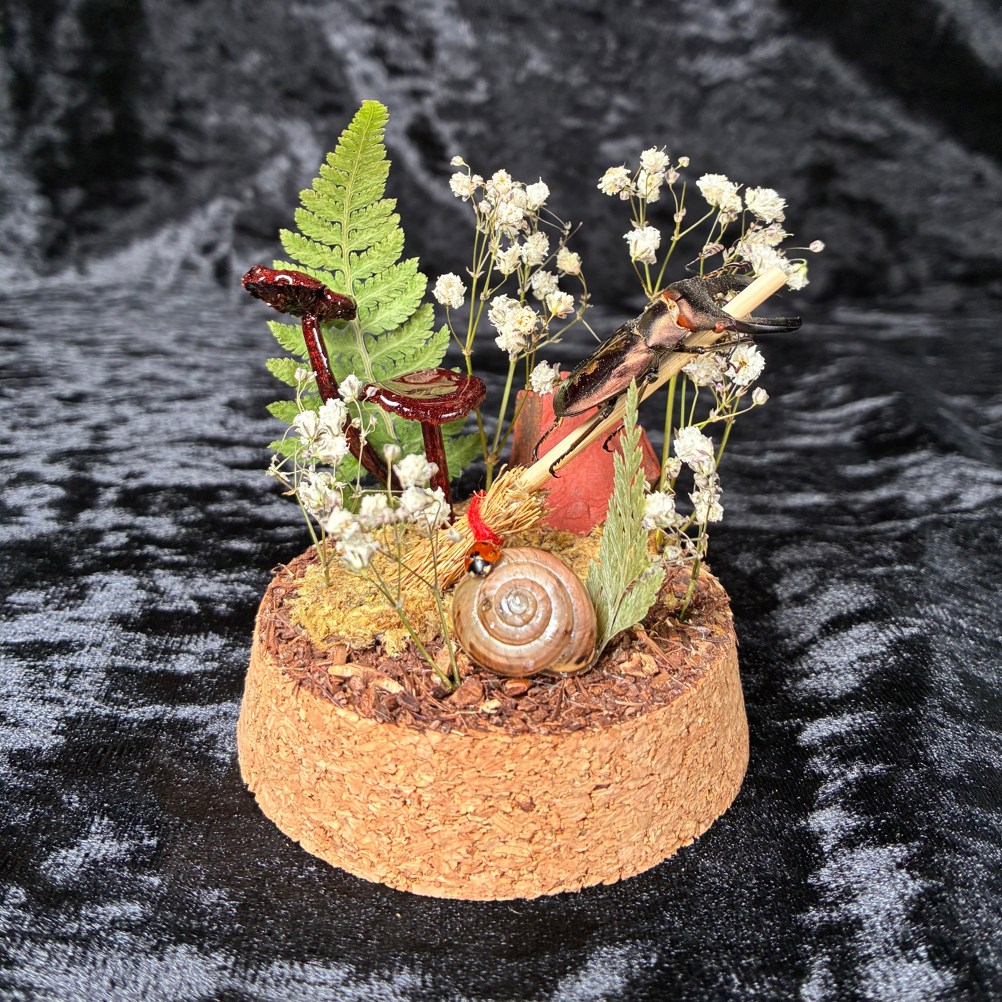 Metallic stag beetle specimen dome