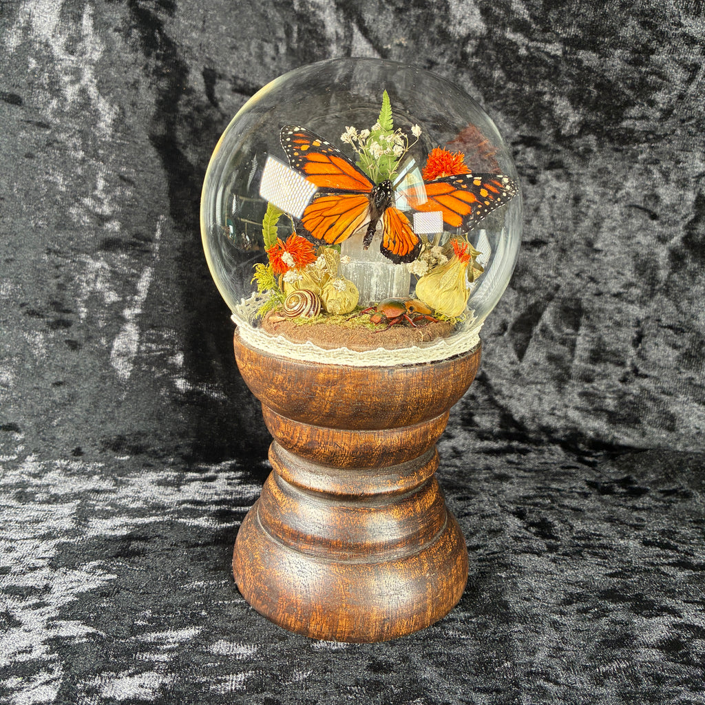 Monarch butterfly specimen dome tower