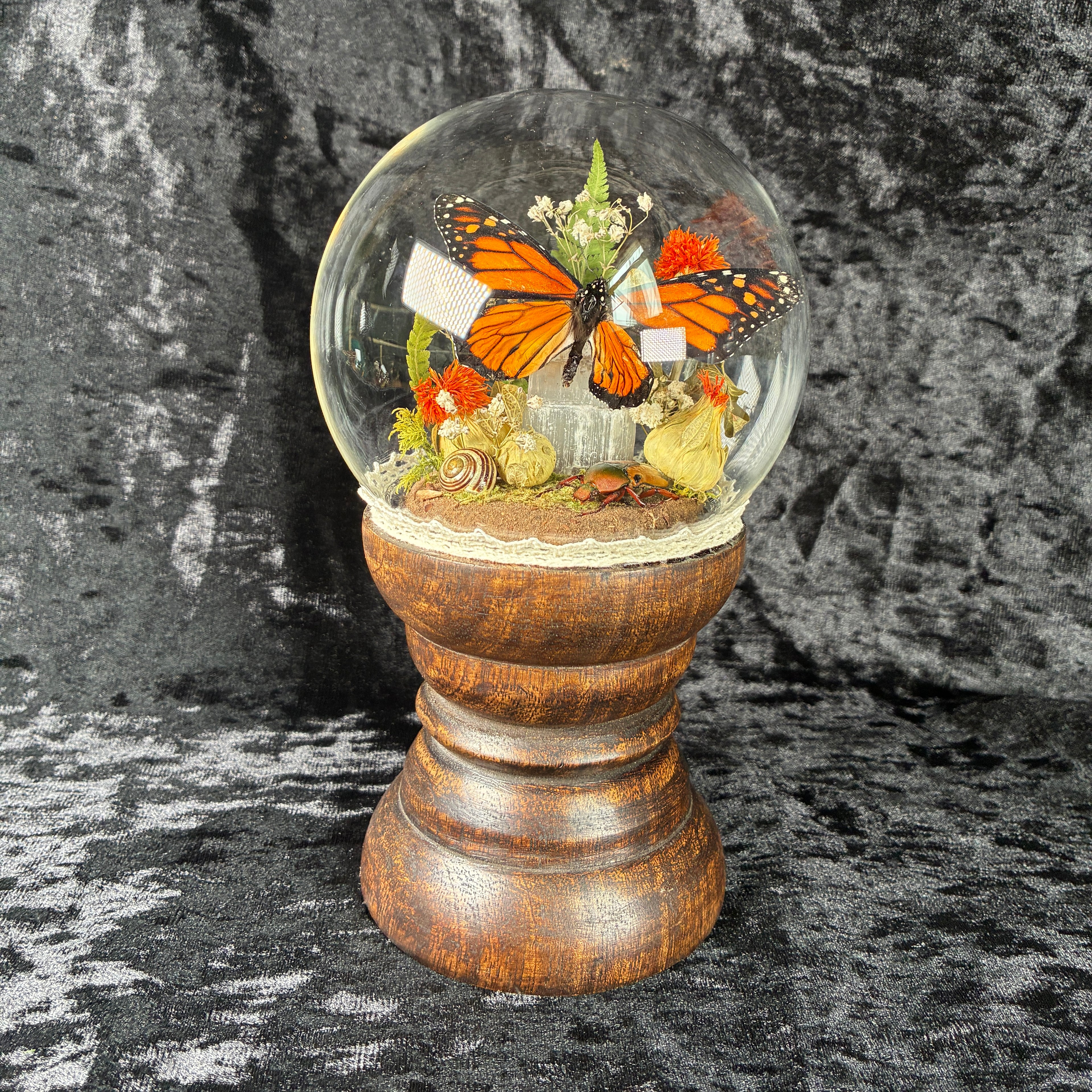 Monarch butterfly specimen dome tower