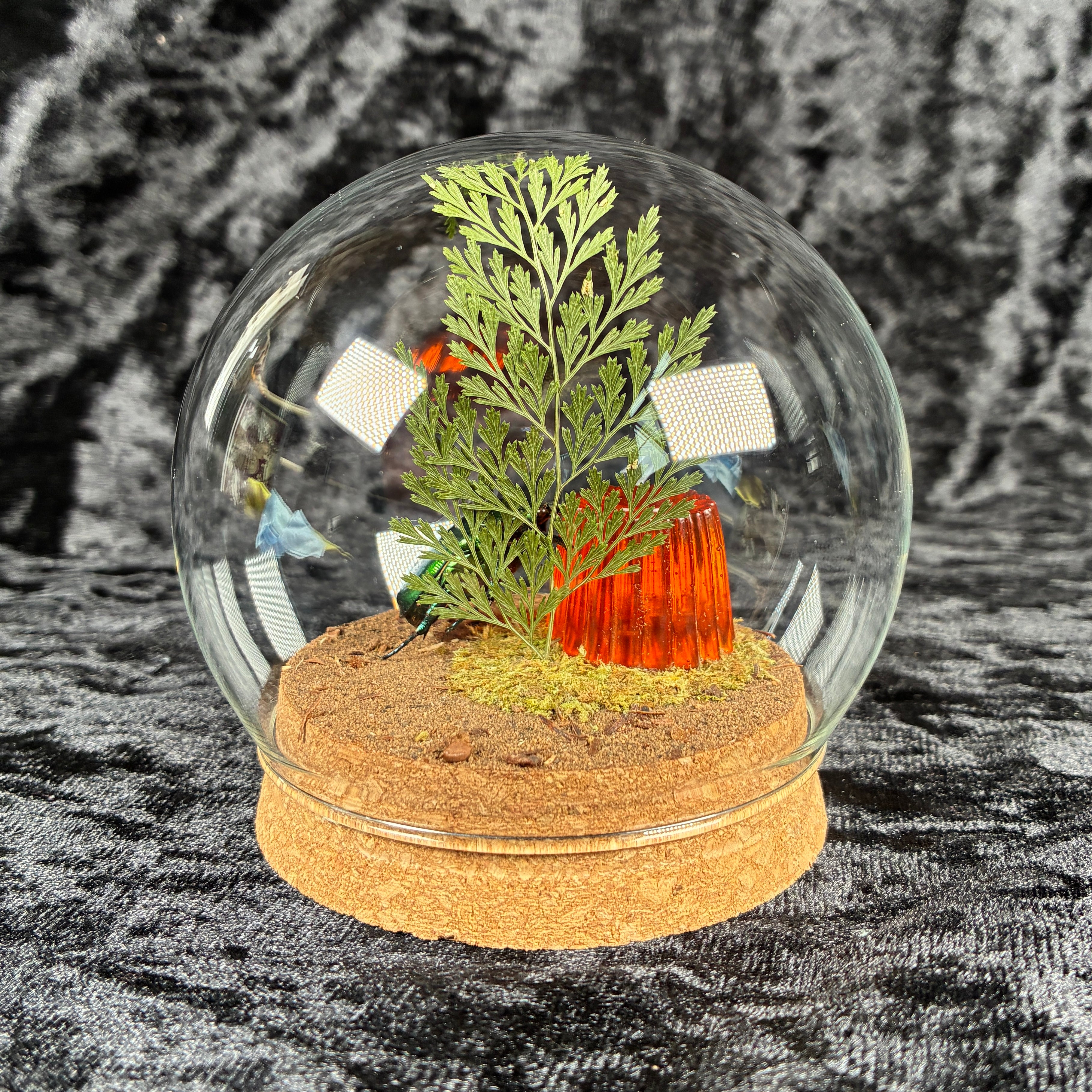 Flower beetle & ‘jelly’ dome