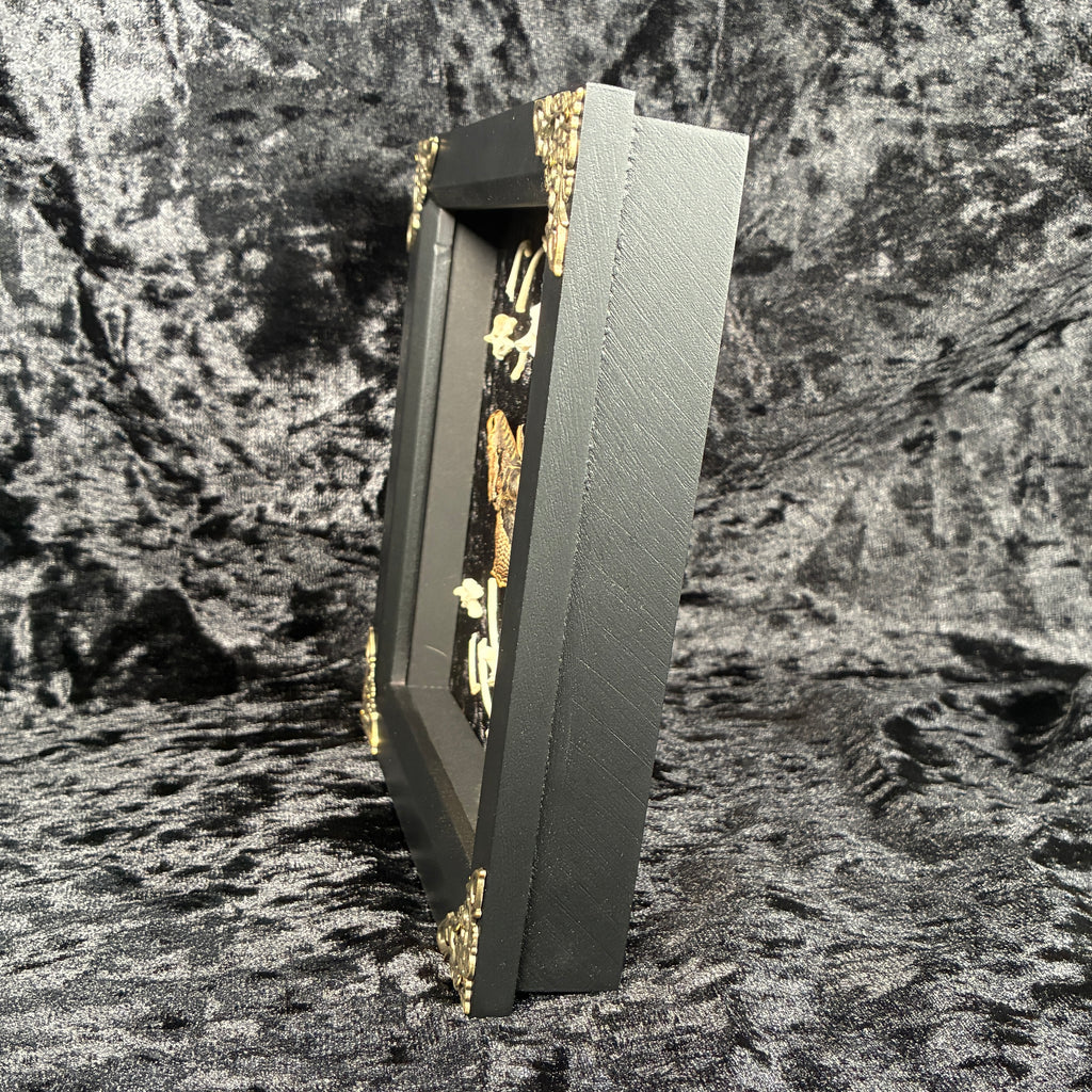 Owl moth & bone frame