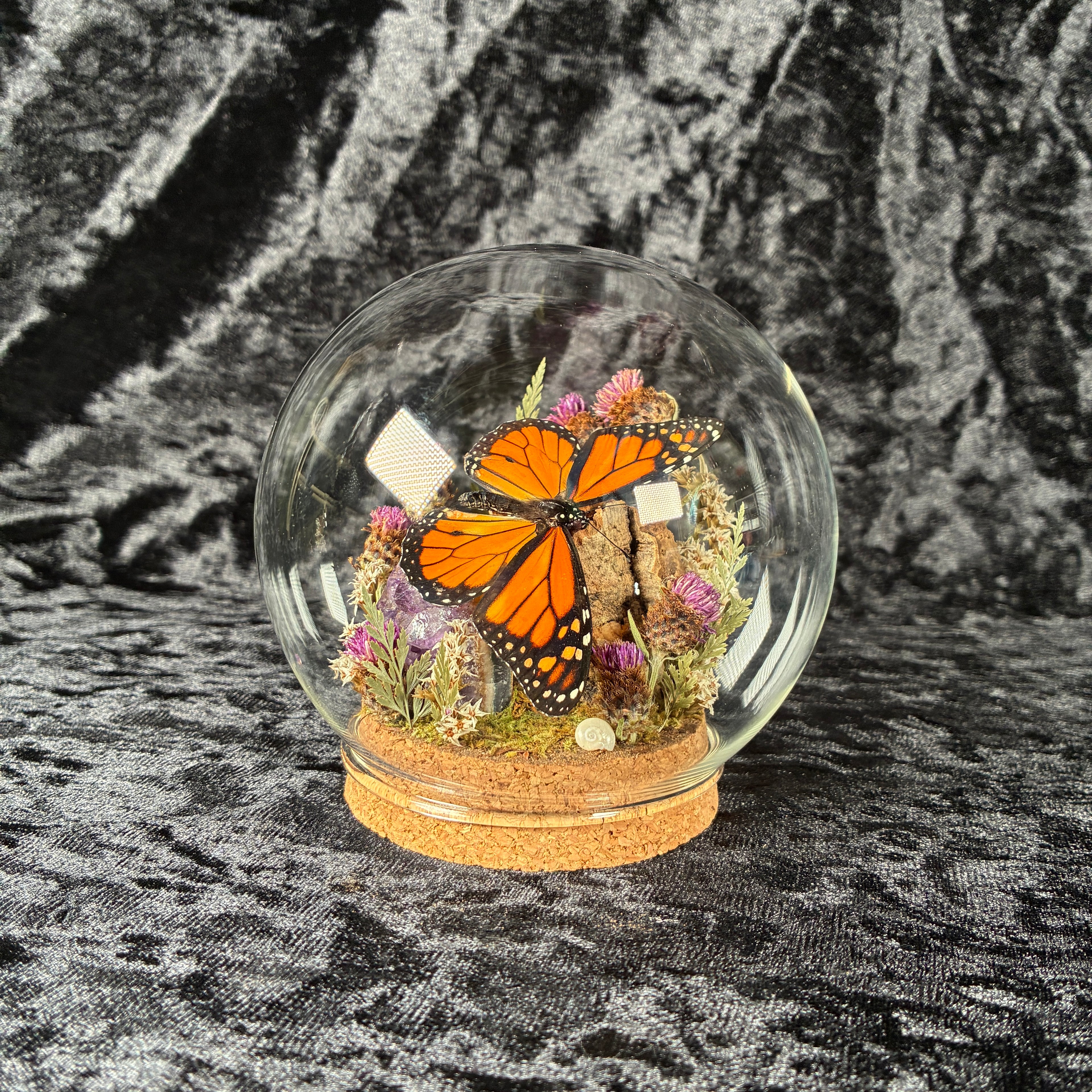 Monarch butterfly dome