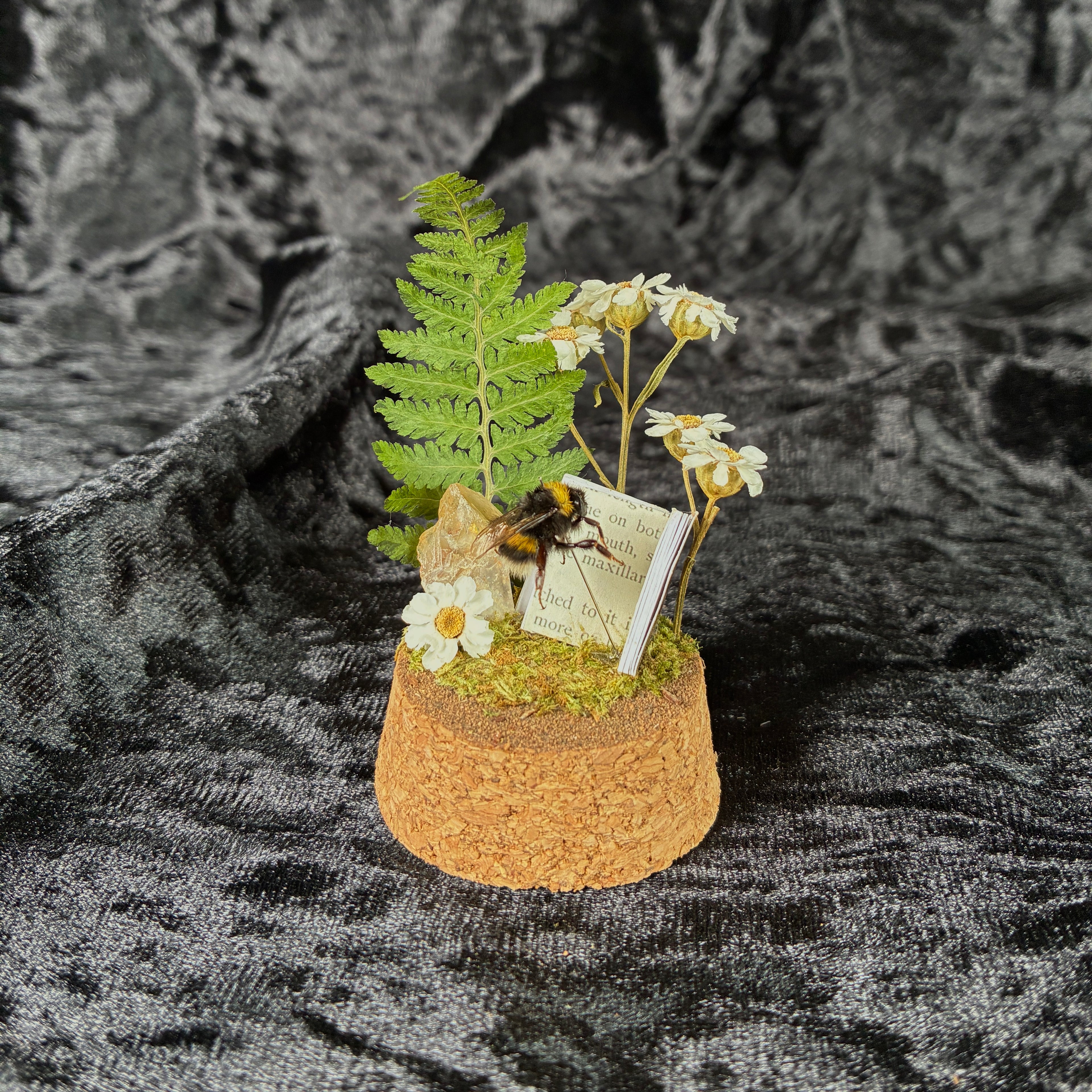 Bumblebee & book specimen dome