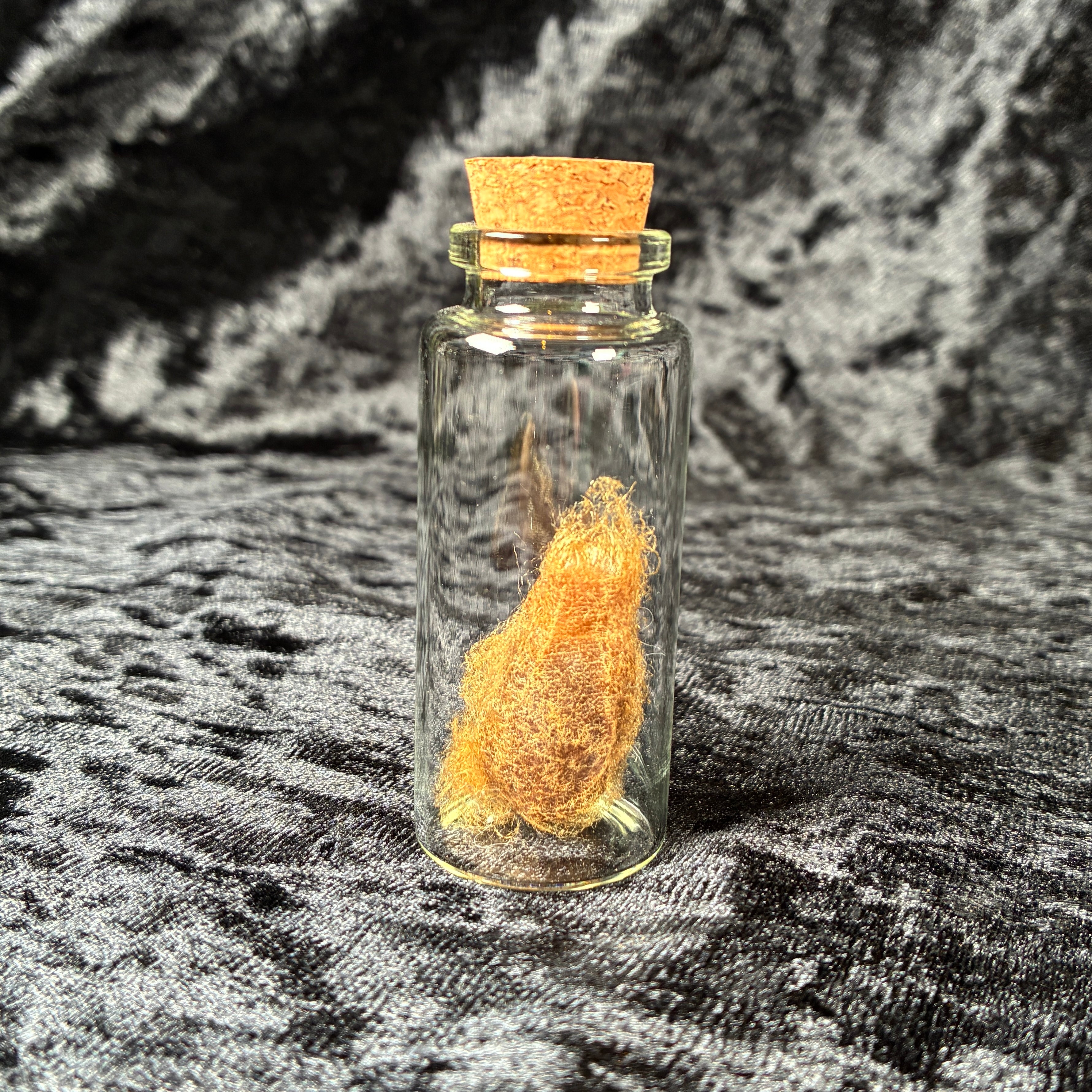 Oddity jar bundle, curio & specimen vials
