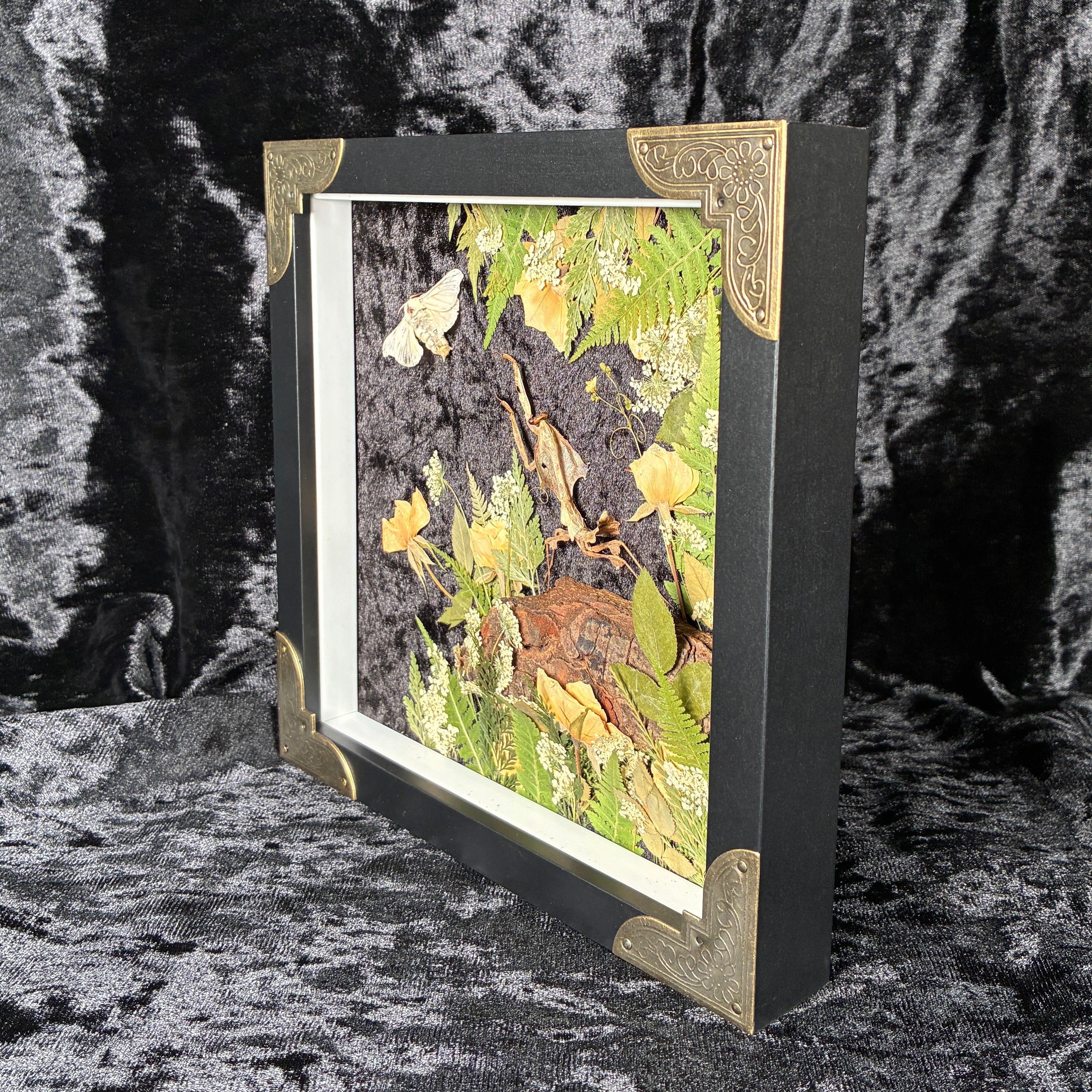 Dead leaf mantis frame – Woodland Oddities