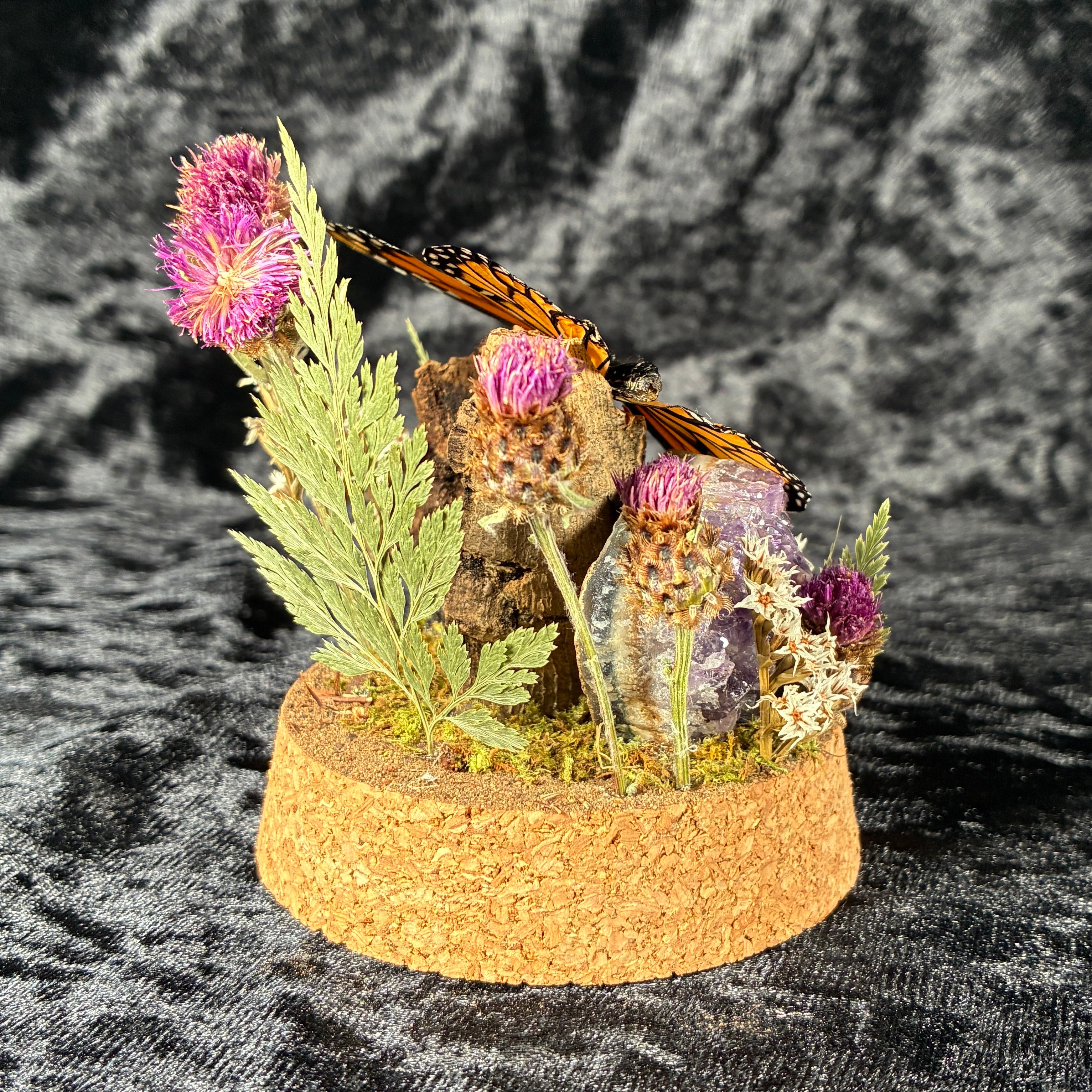 Monarch butterfly dome