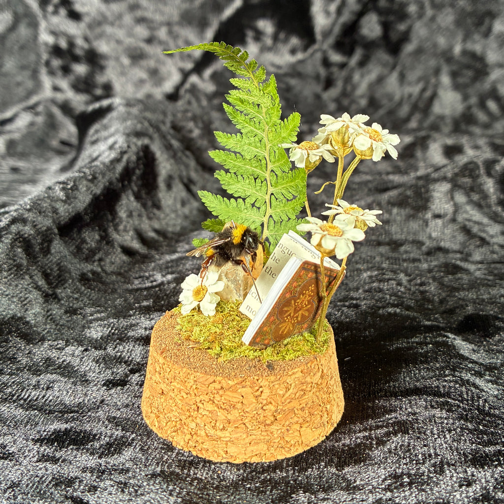 Bumblebee & book specimen dome