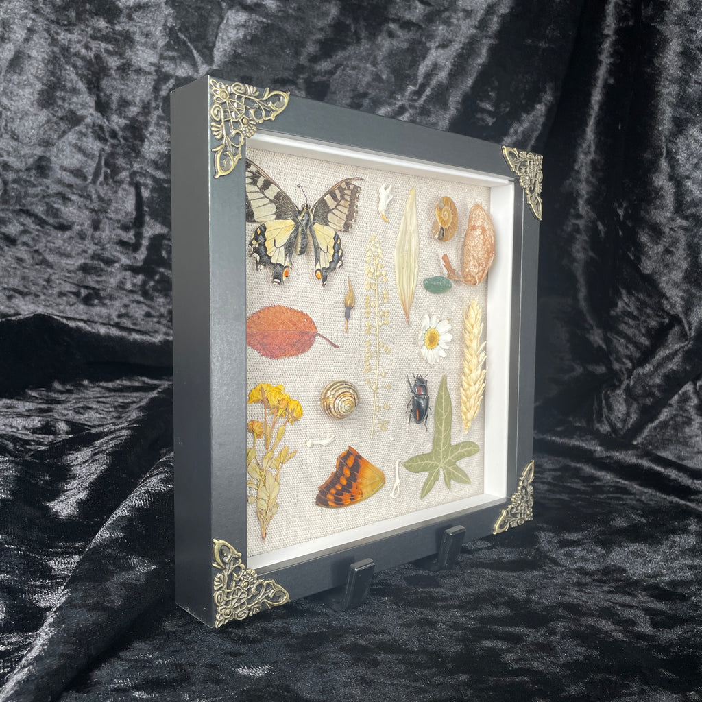 Nature’s treasures frame