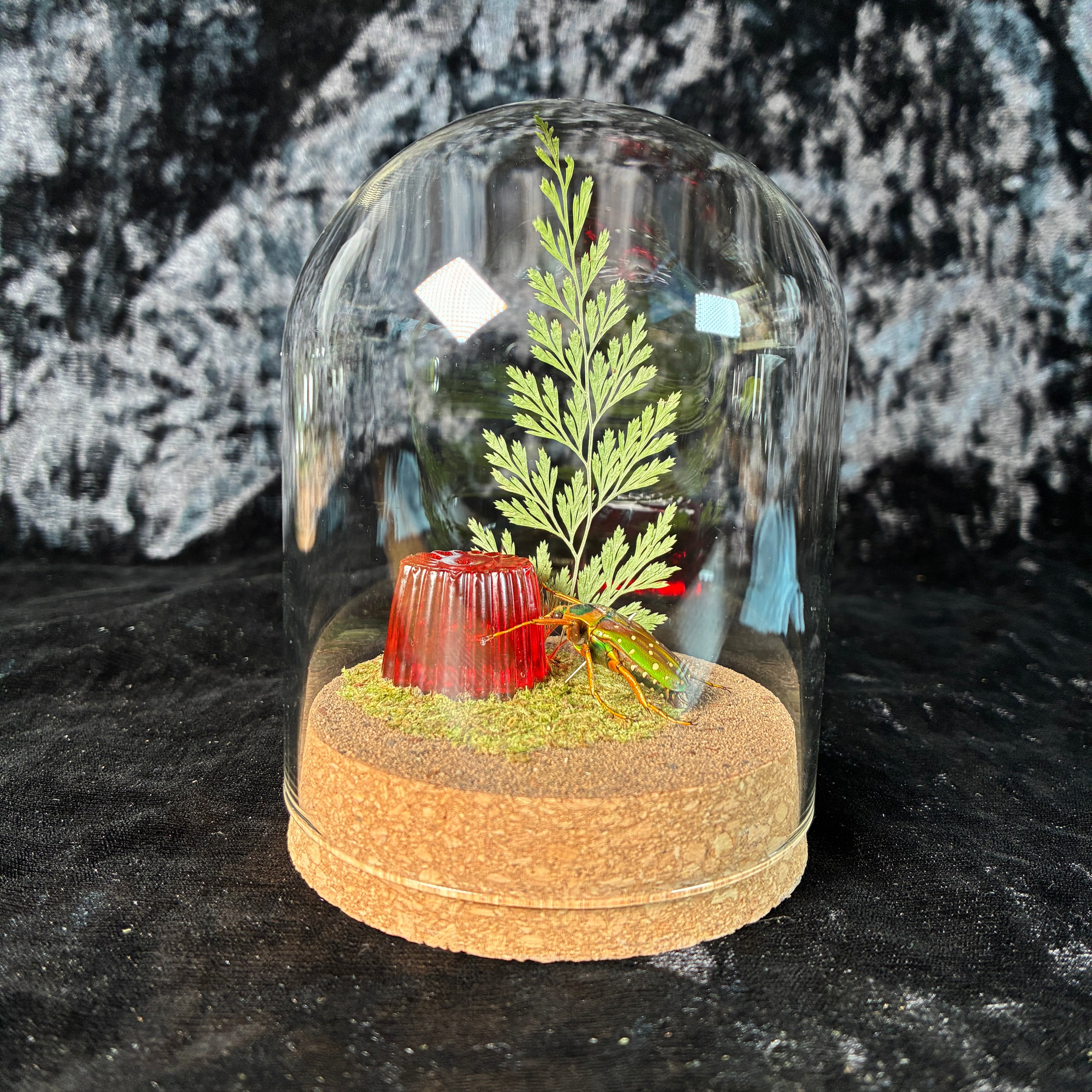 Beetle & faux jelly pot dome