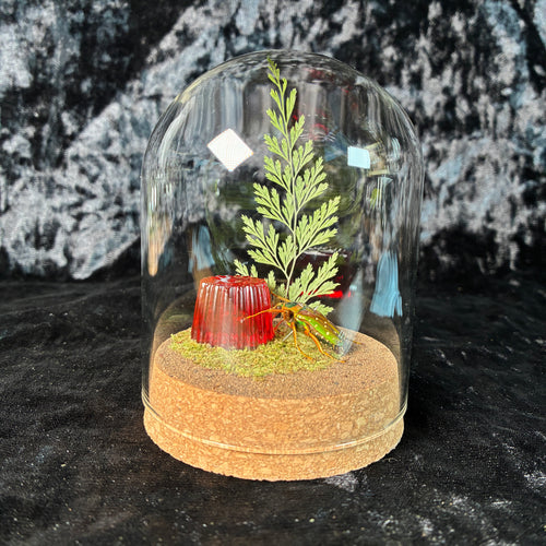 Beetle & faux jelly pot dome