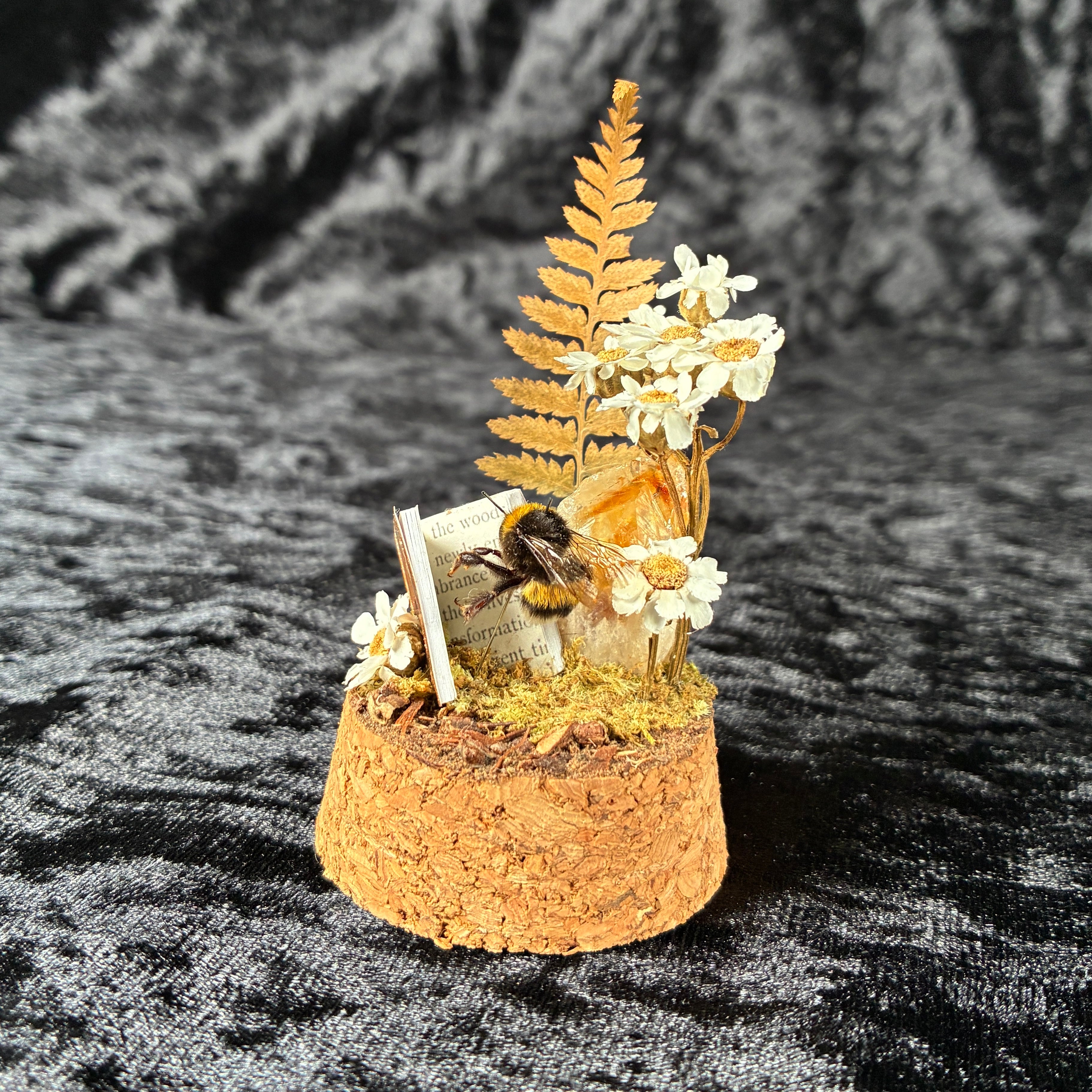 Bumblebee & book dome