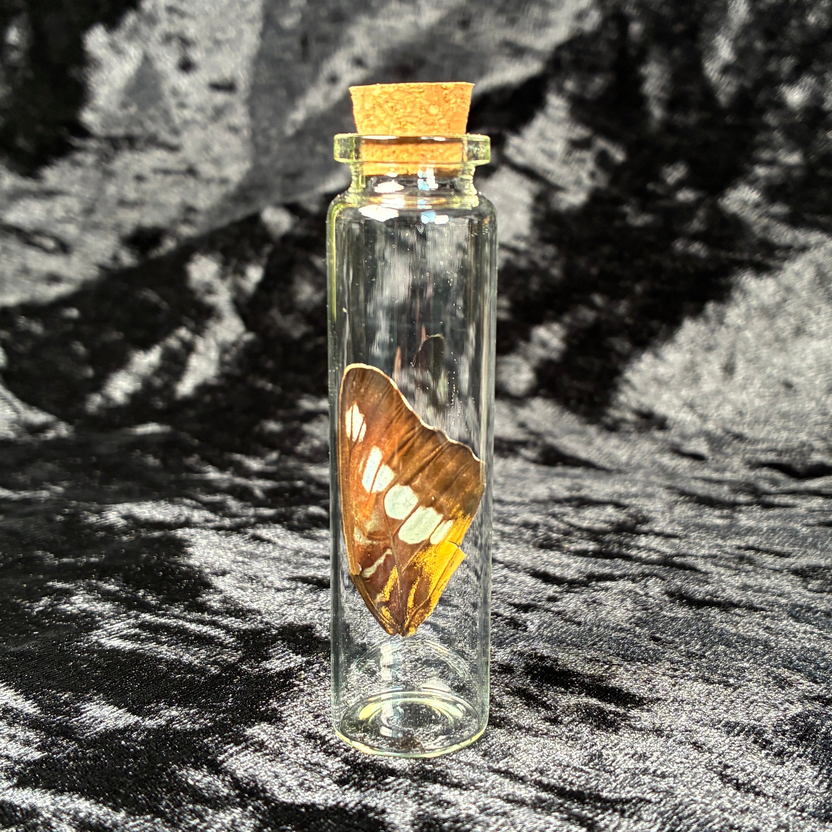 Mixed oddity jar/vial bundle