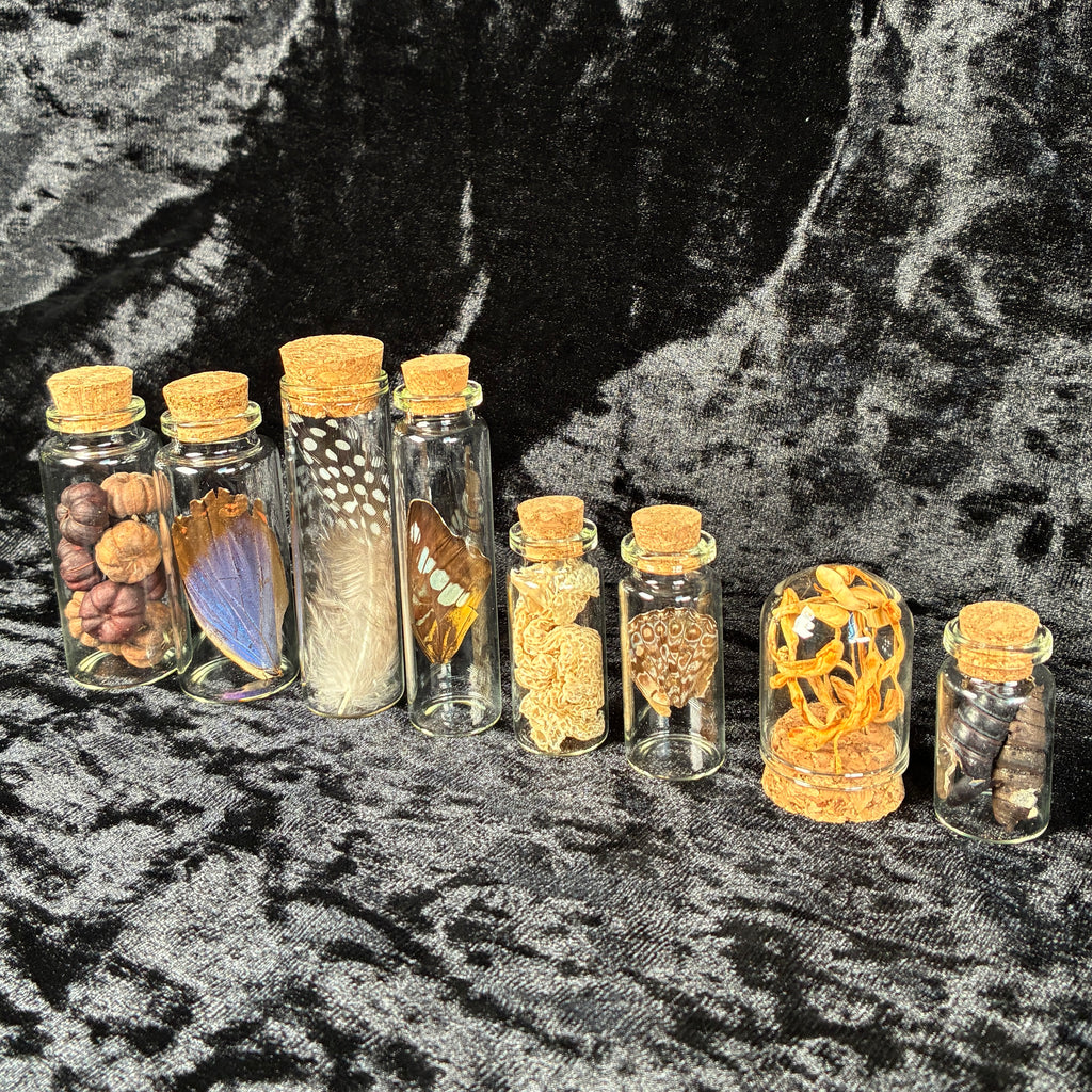 Mixed oddity jar/vial bundle