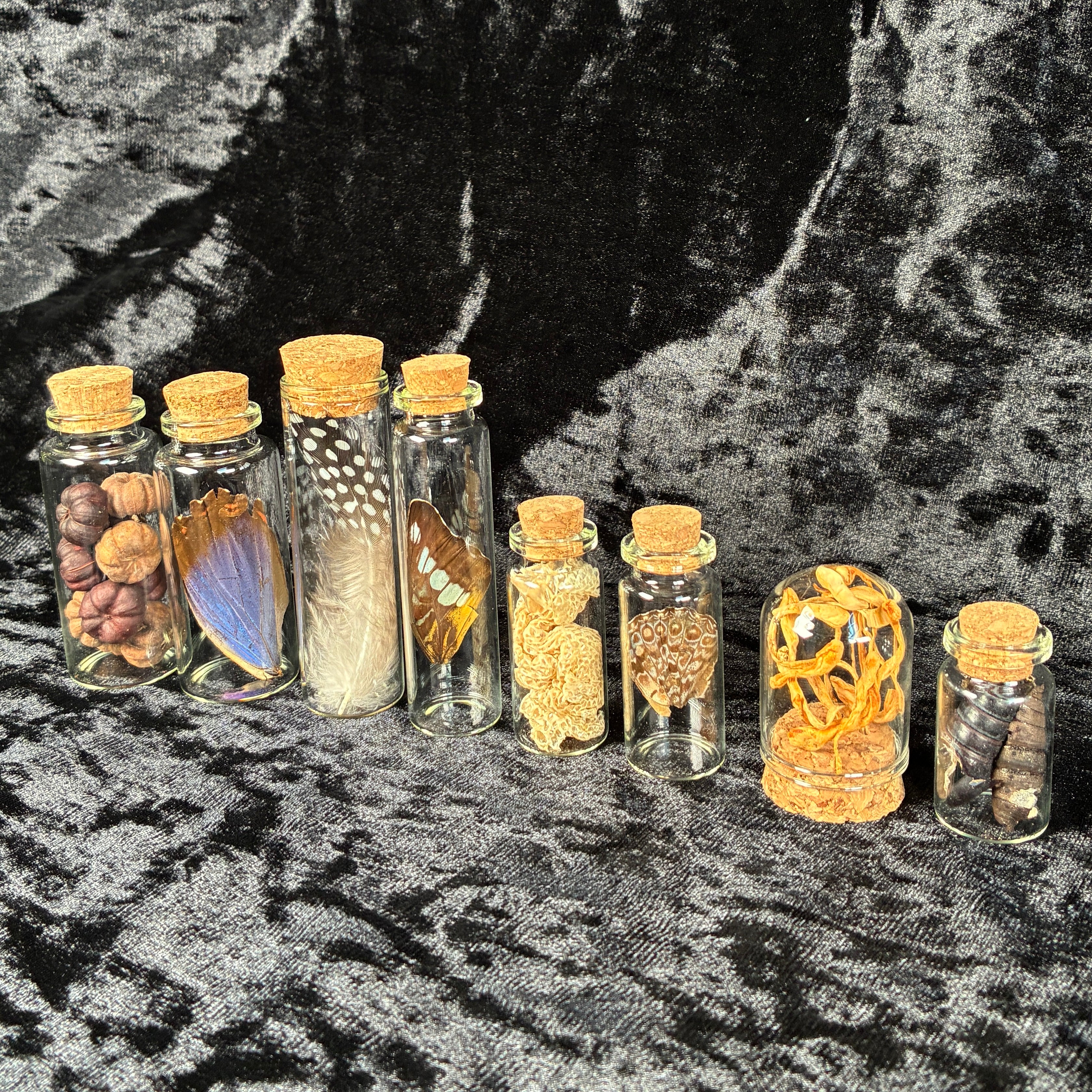 Mixed oddity jar/vial bundle