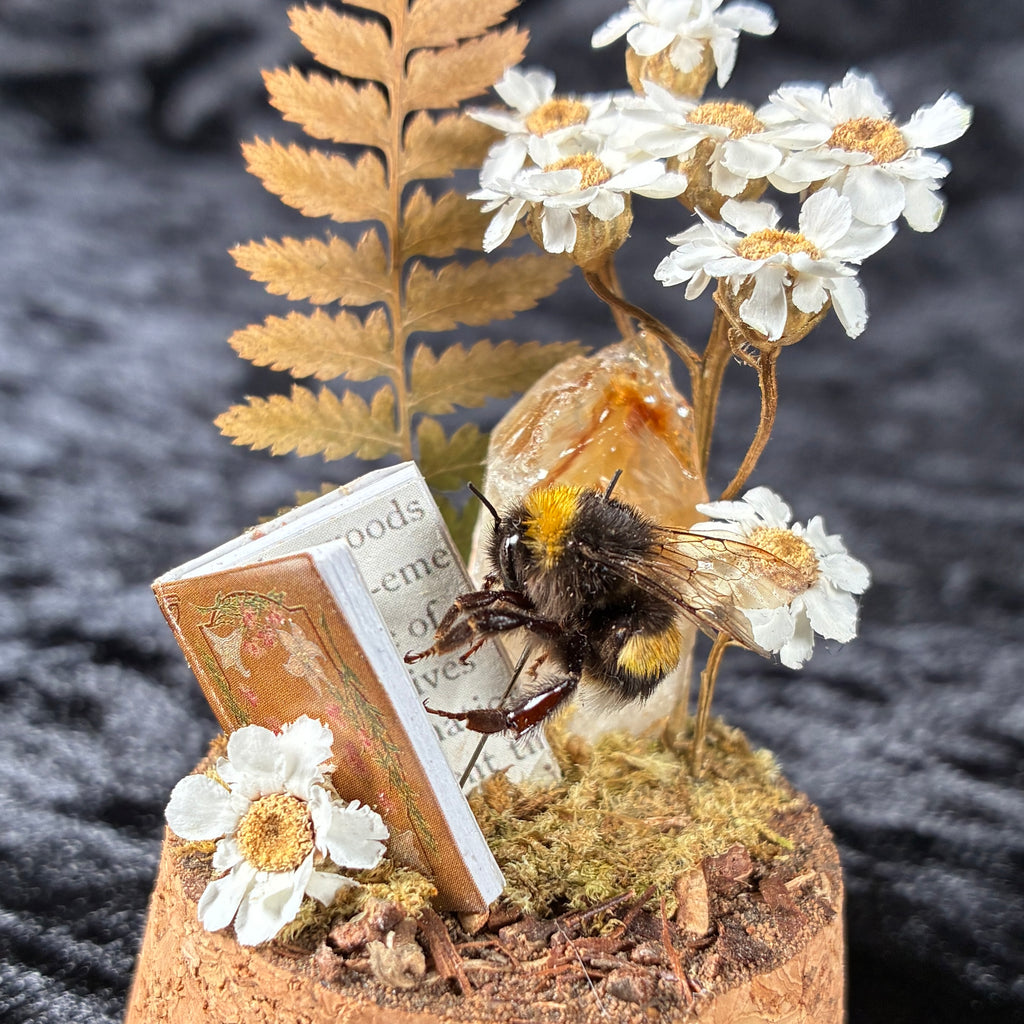 Bumblebee & book dome