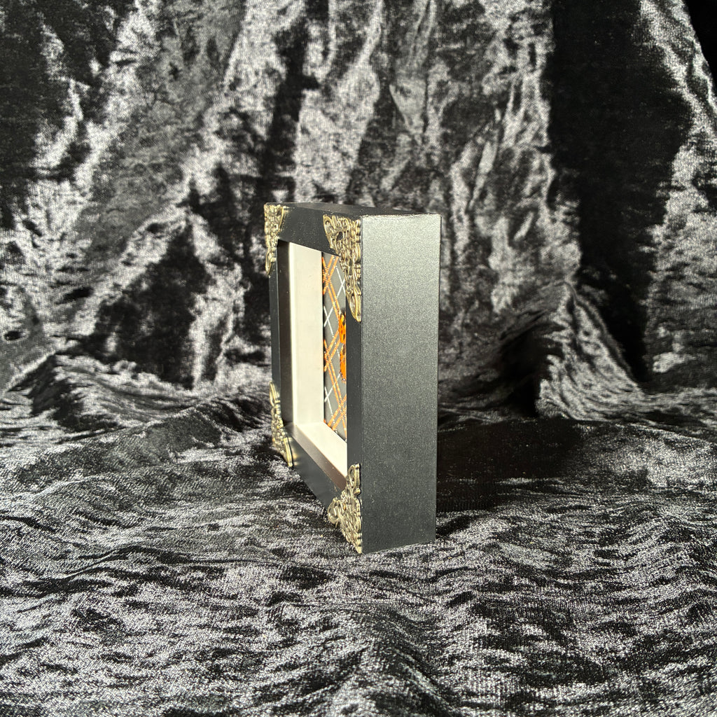 Butterfly specimen frame