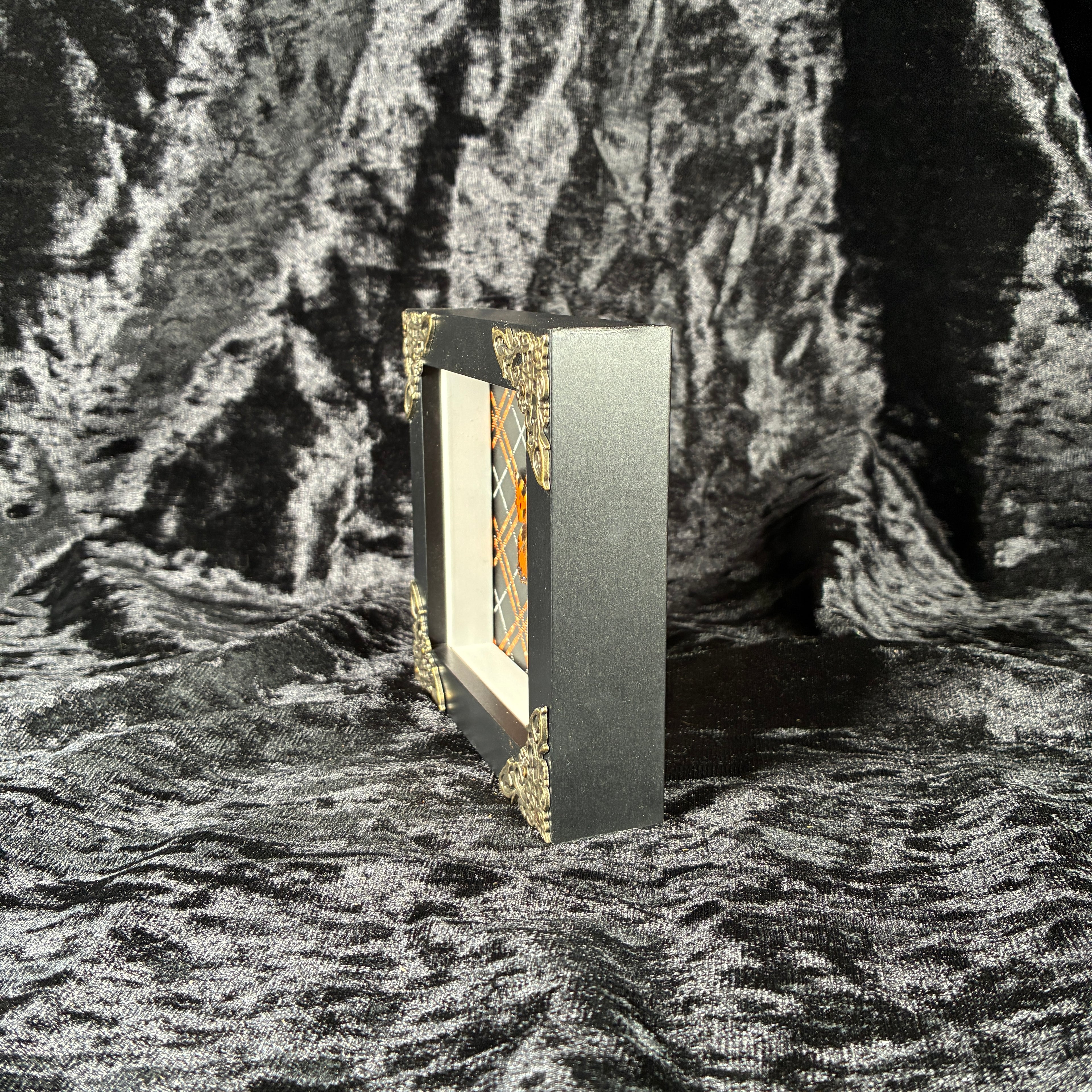 Butterfly specimen frame