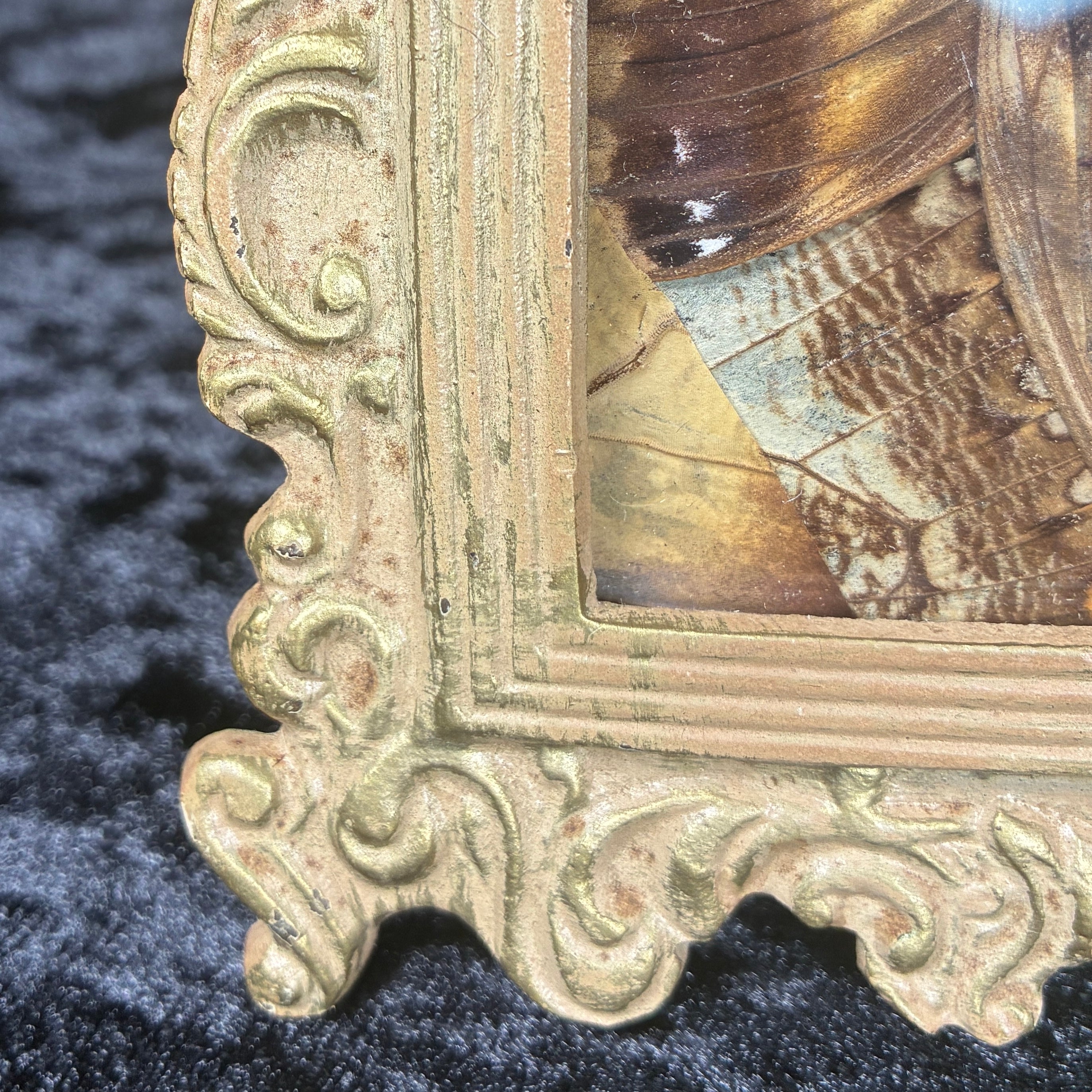 Owl butterfly wing collage frame