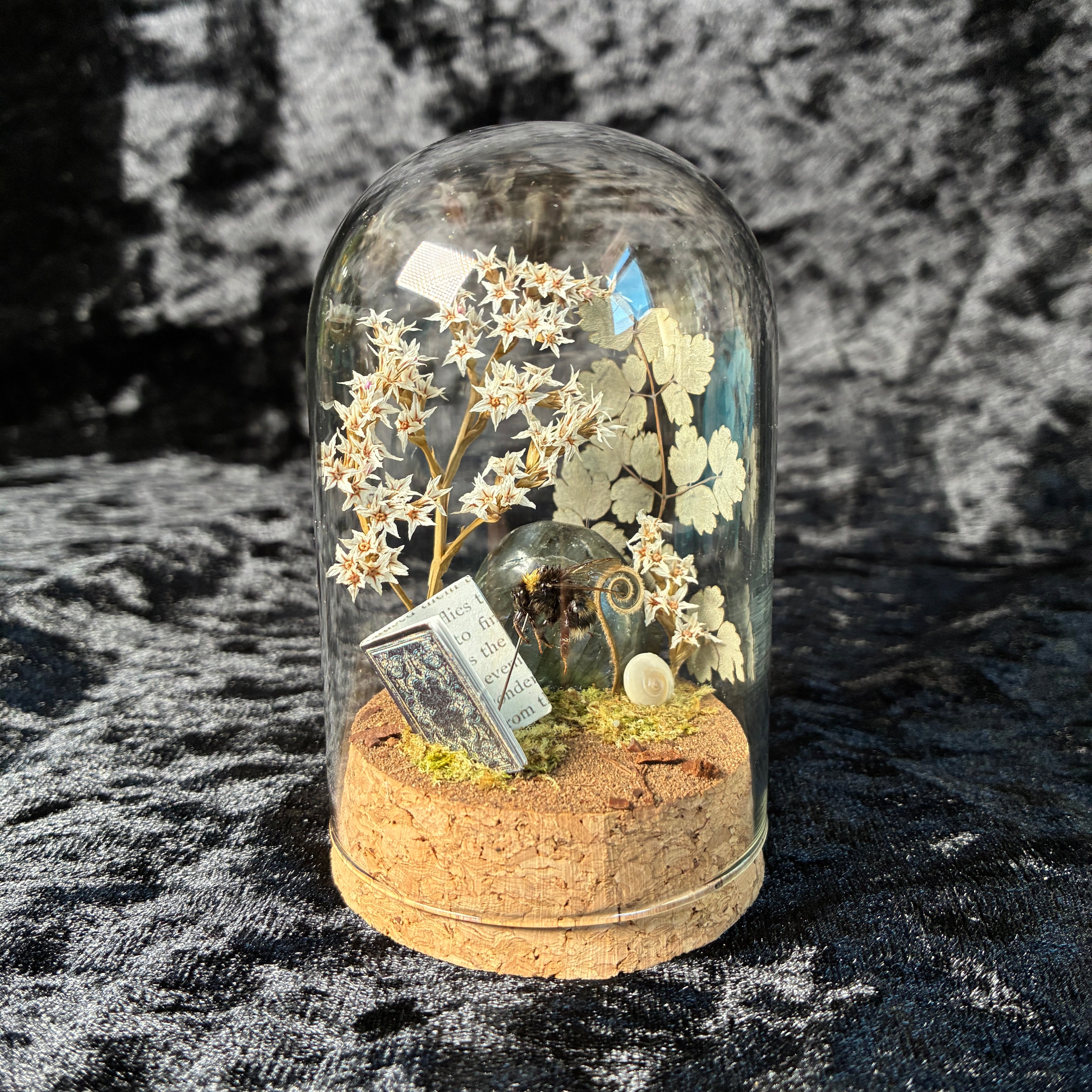 Bumblebee & book dome