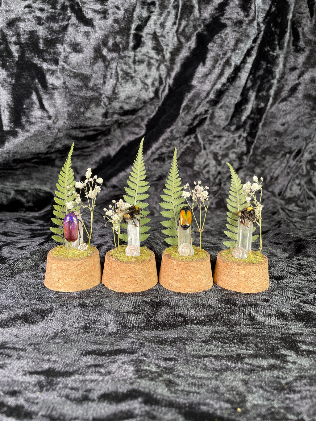 X-small mixed insect domes