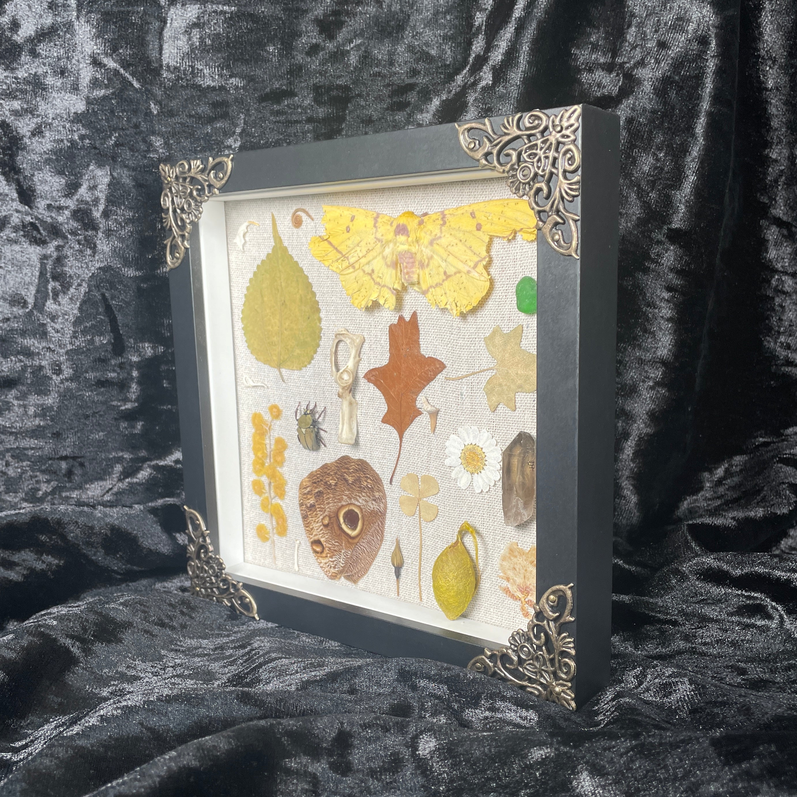 Natures treasures frame