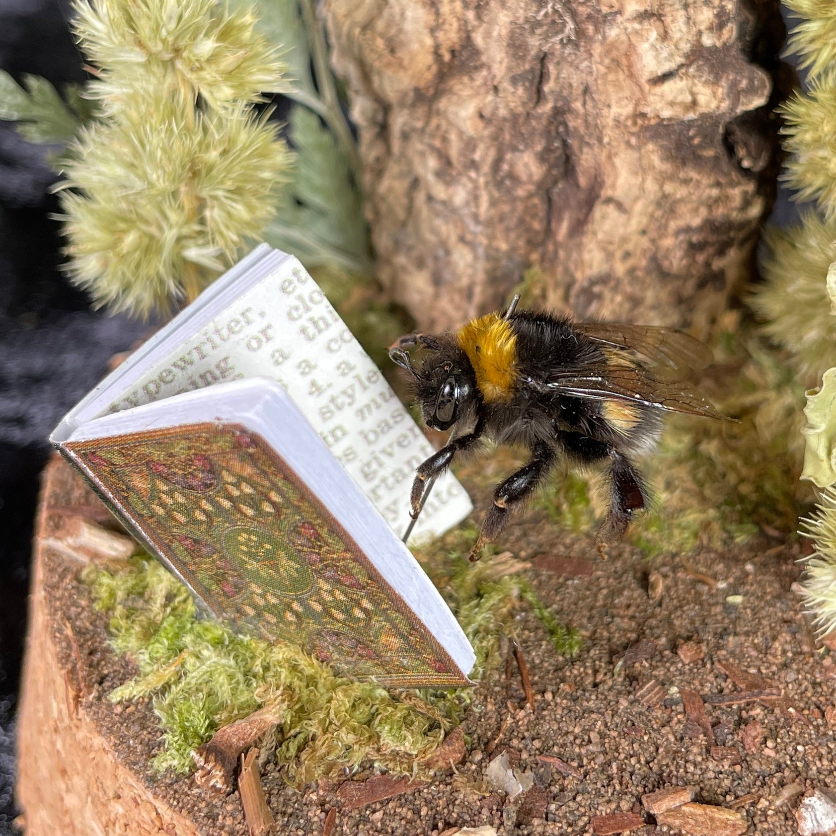 Bumblebee & book dome