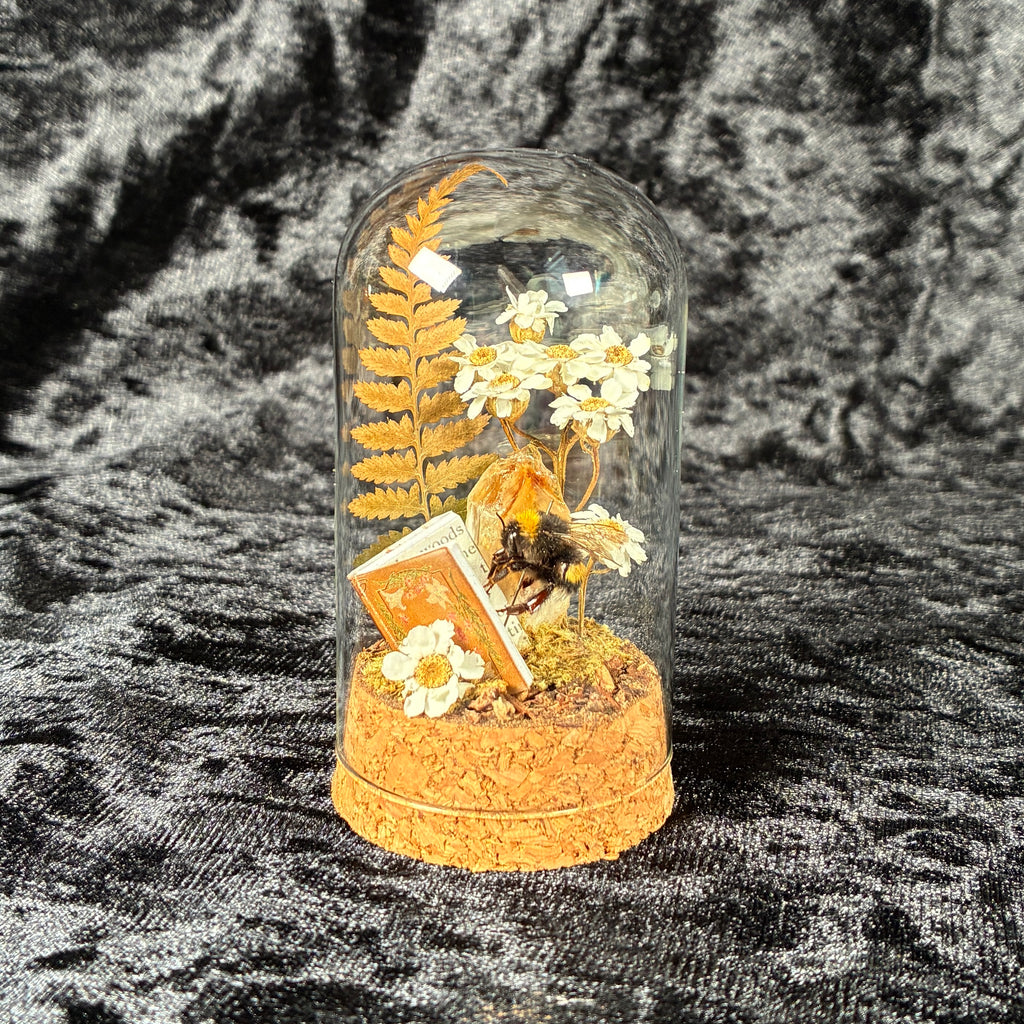 Bumblebee & book dome