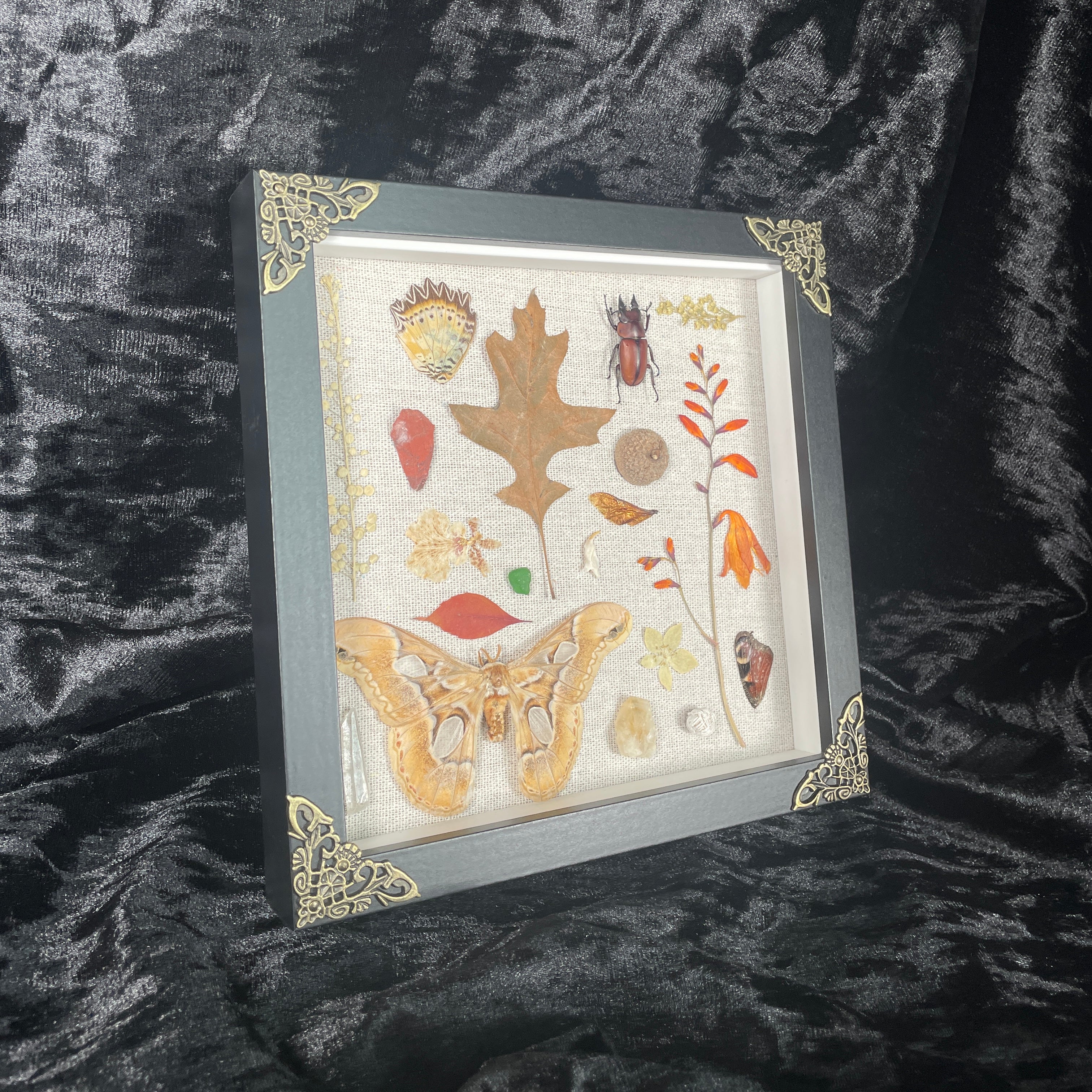 Nature’s treasures frame