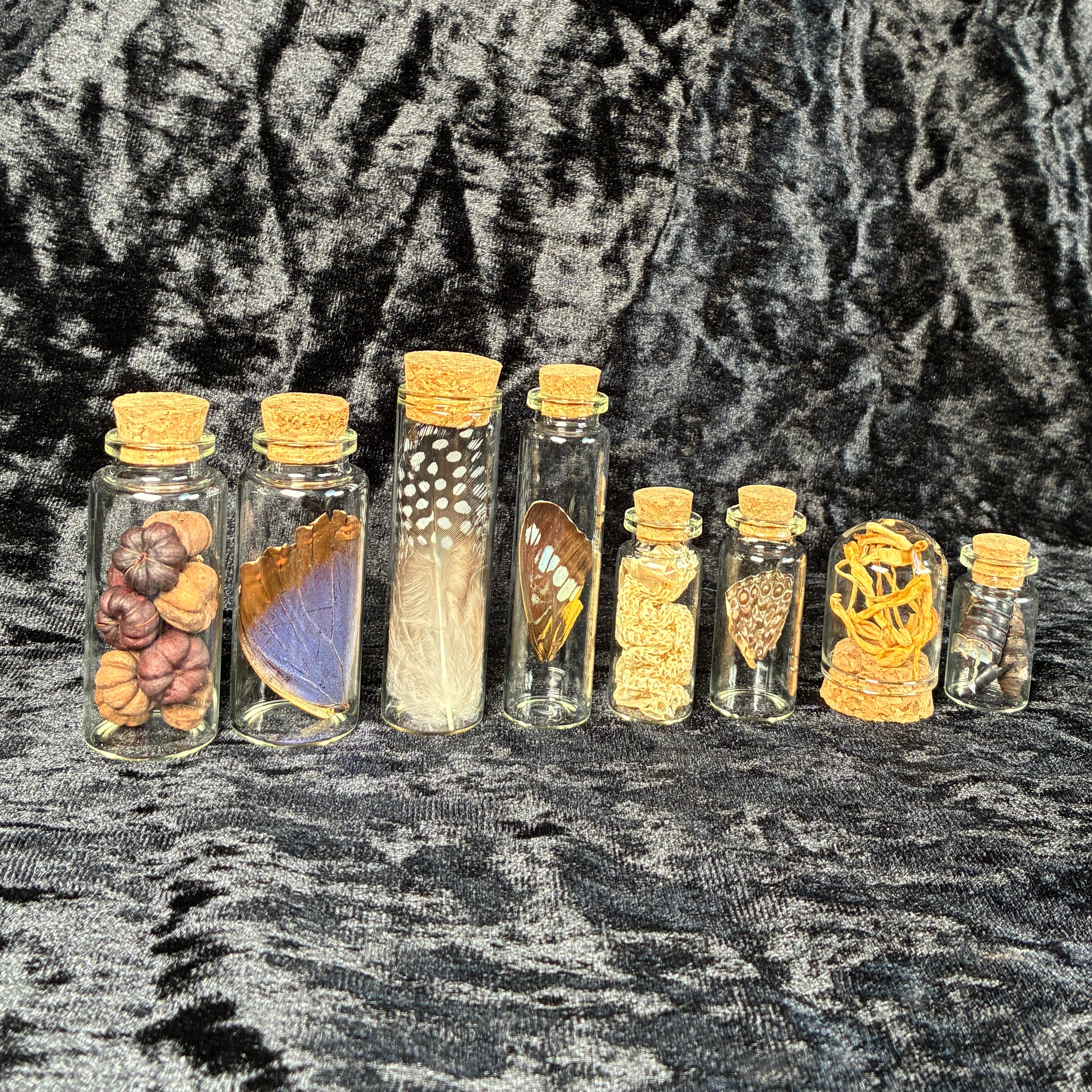 Mixed oddity jar/vial bundle