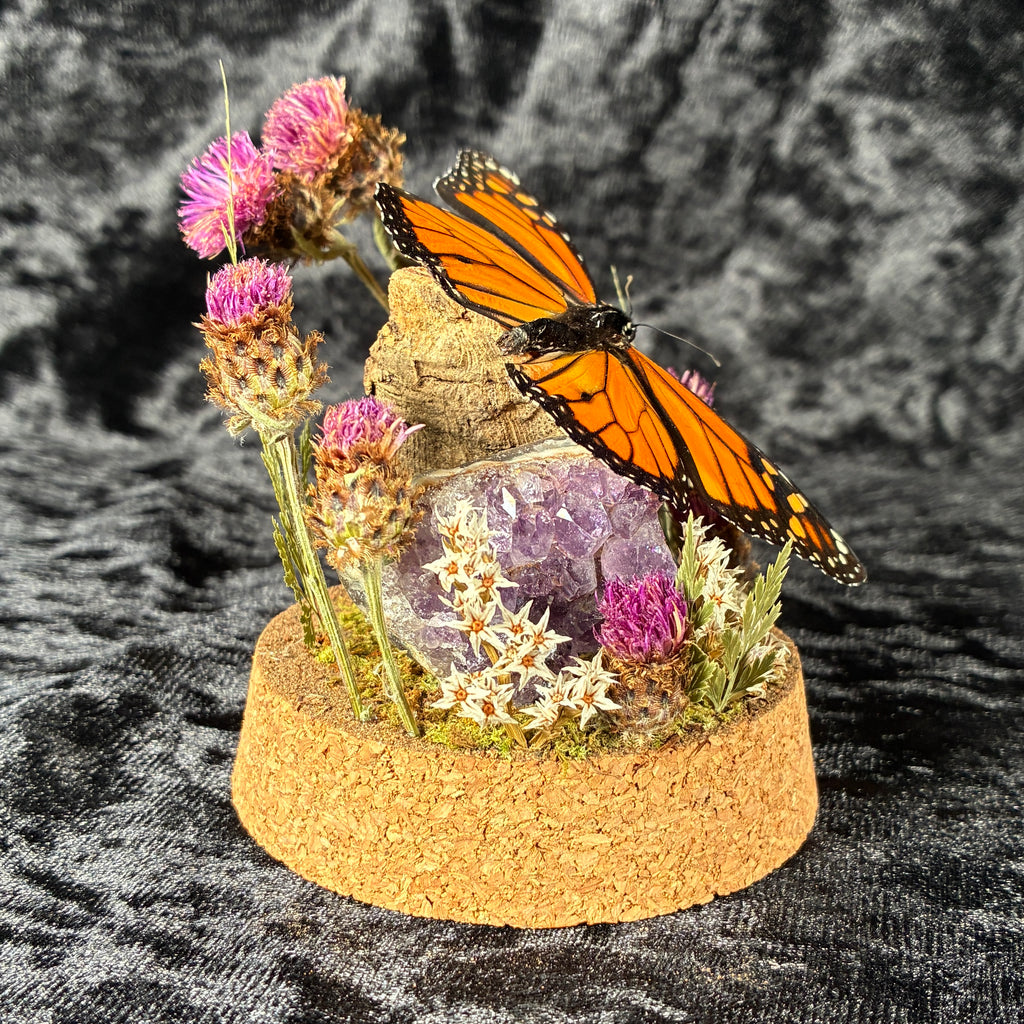 Monarch butterfly dome