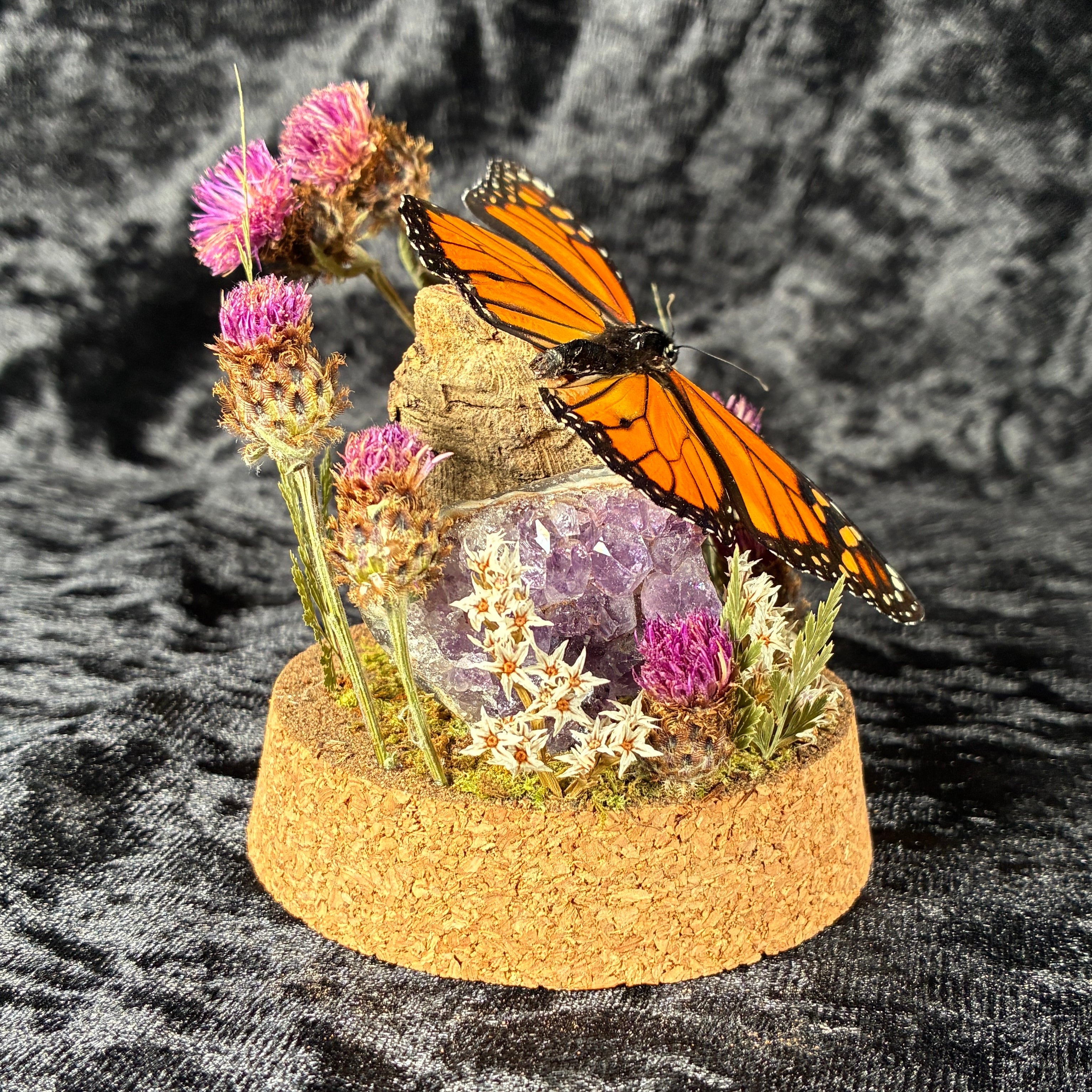 Monarch butterfly dome