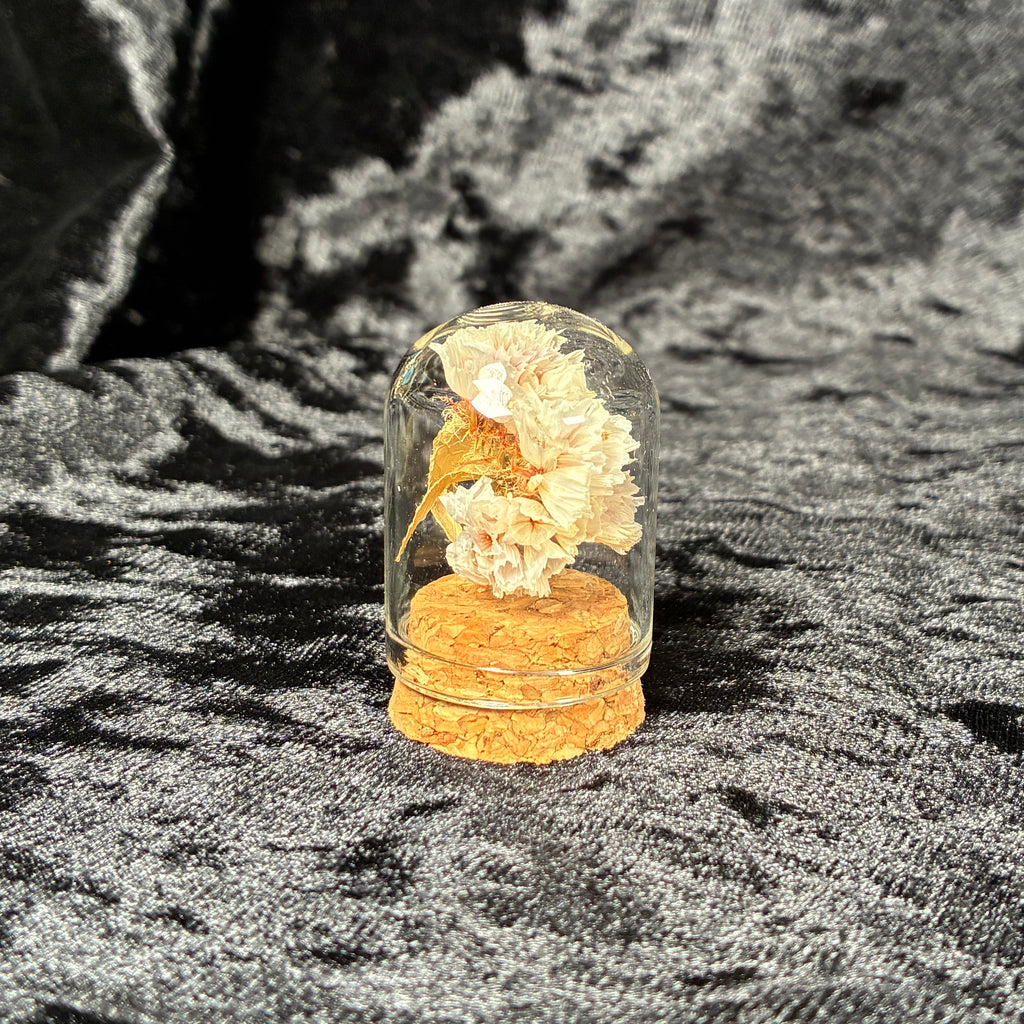 Oddity jar bundle, curio & specimen vials