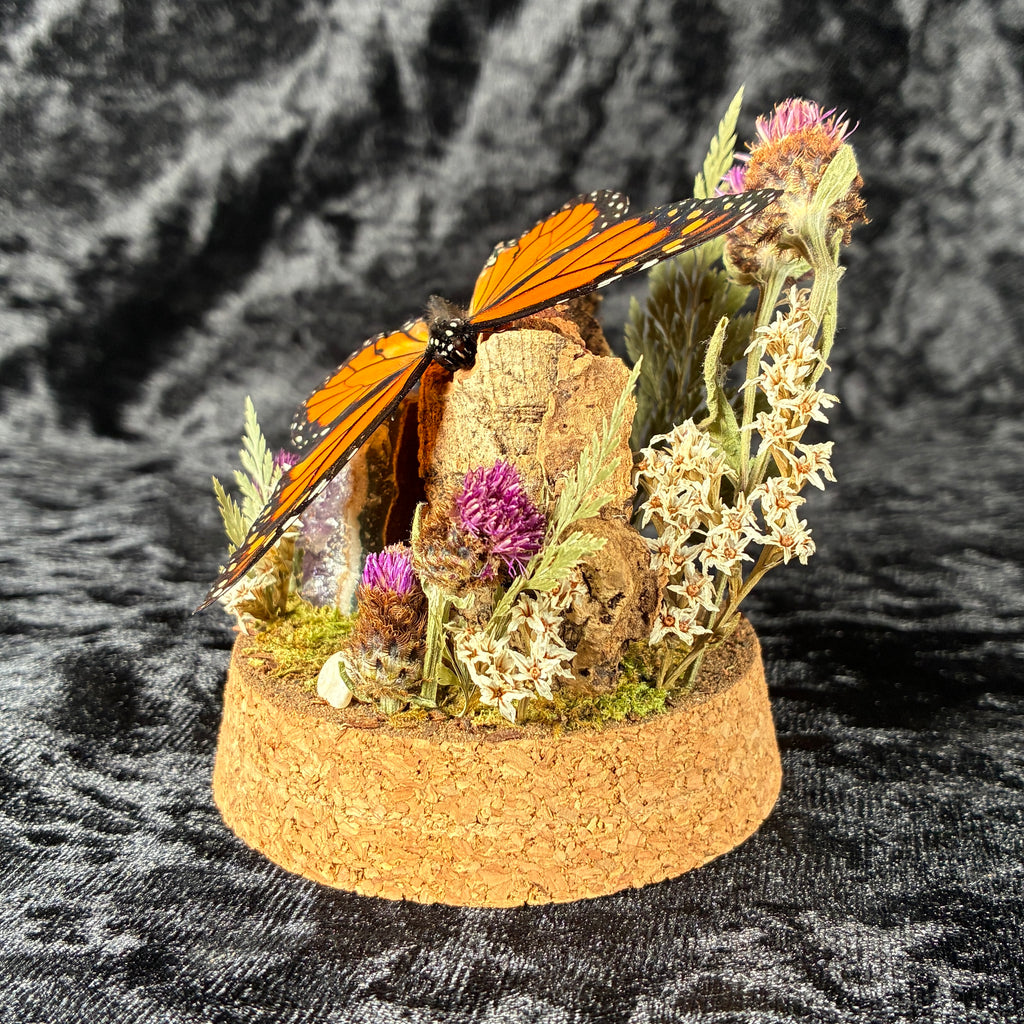Monarch butterfly dome
