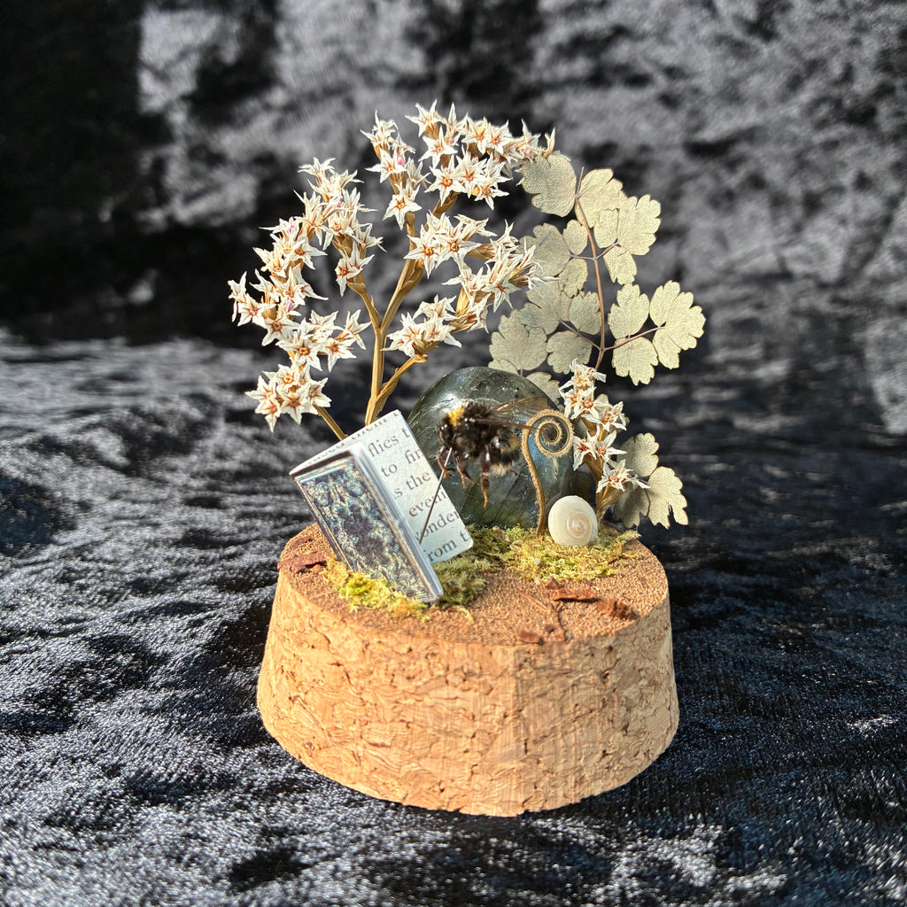 Bumblebee & book dome