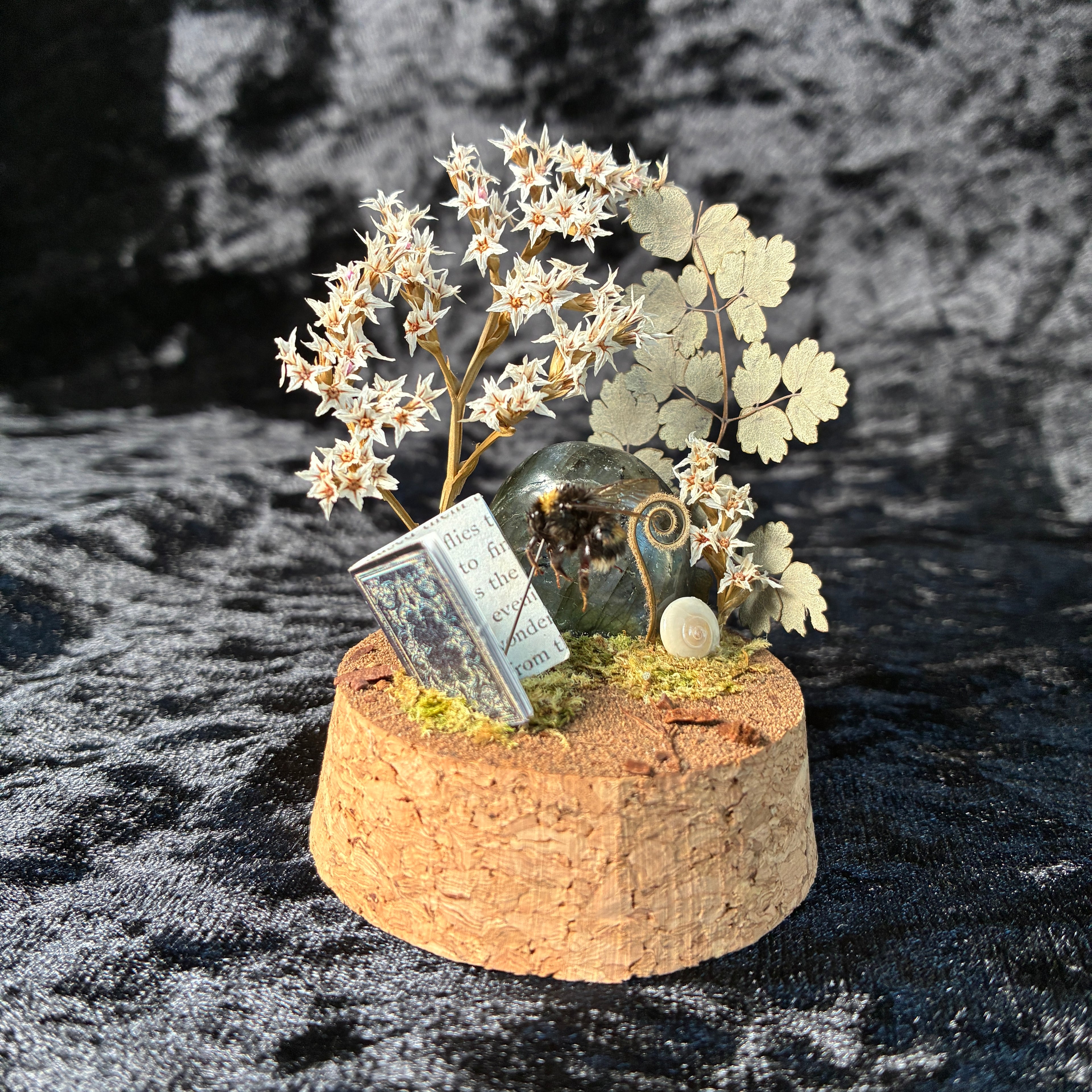 Bumblebee & book dome