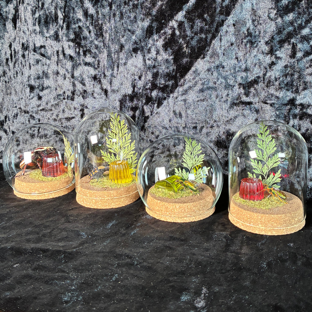 Beetle & faux jelly pot dome
