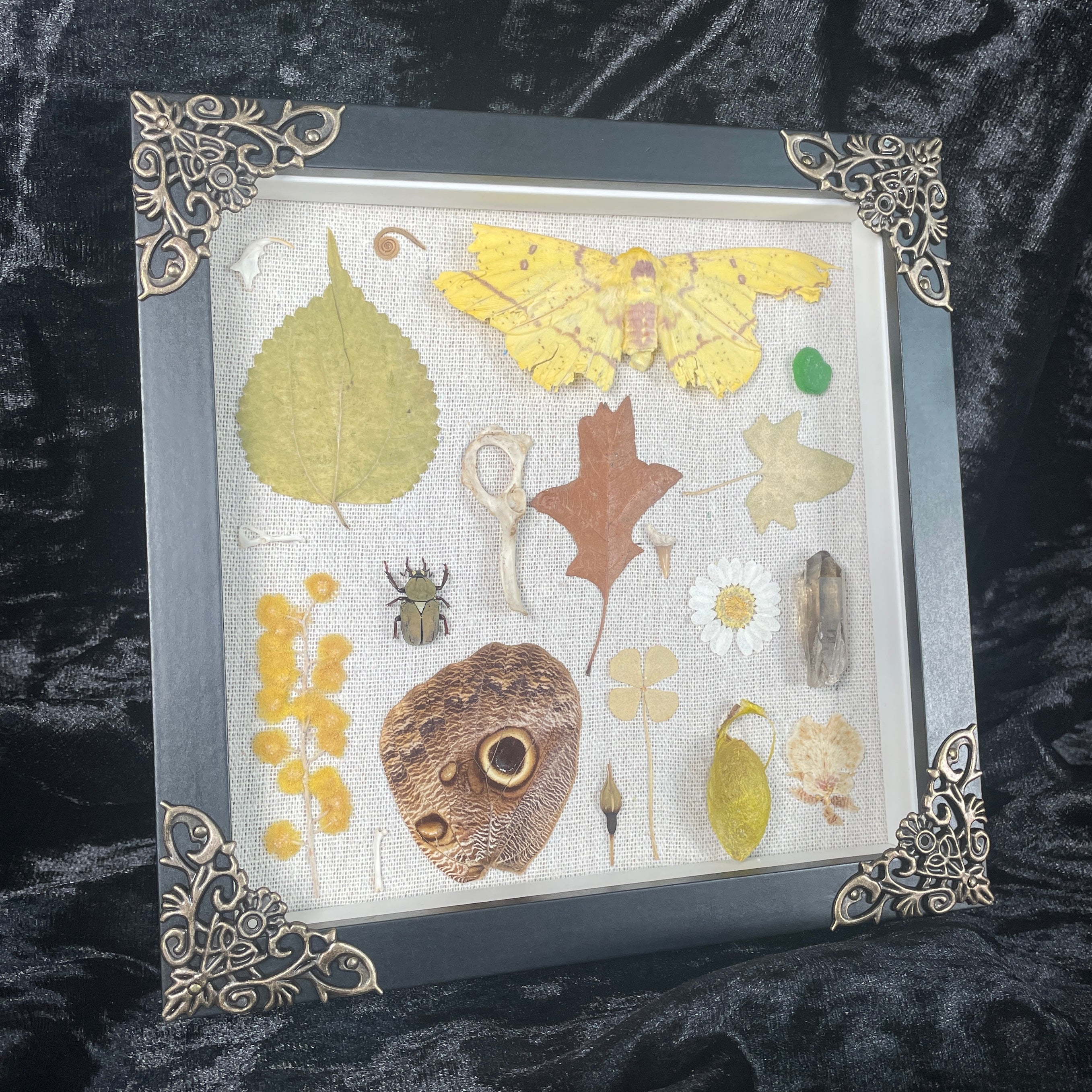 Natures treasures frame