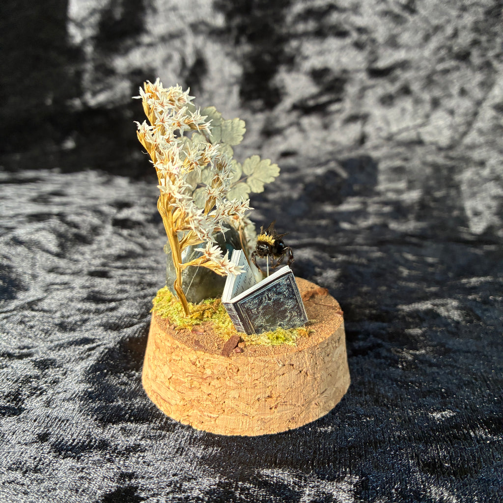 Bumblebee & book dome