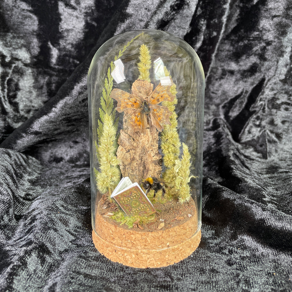 Bumblebee & book dome