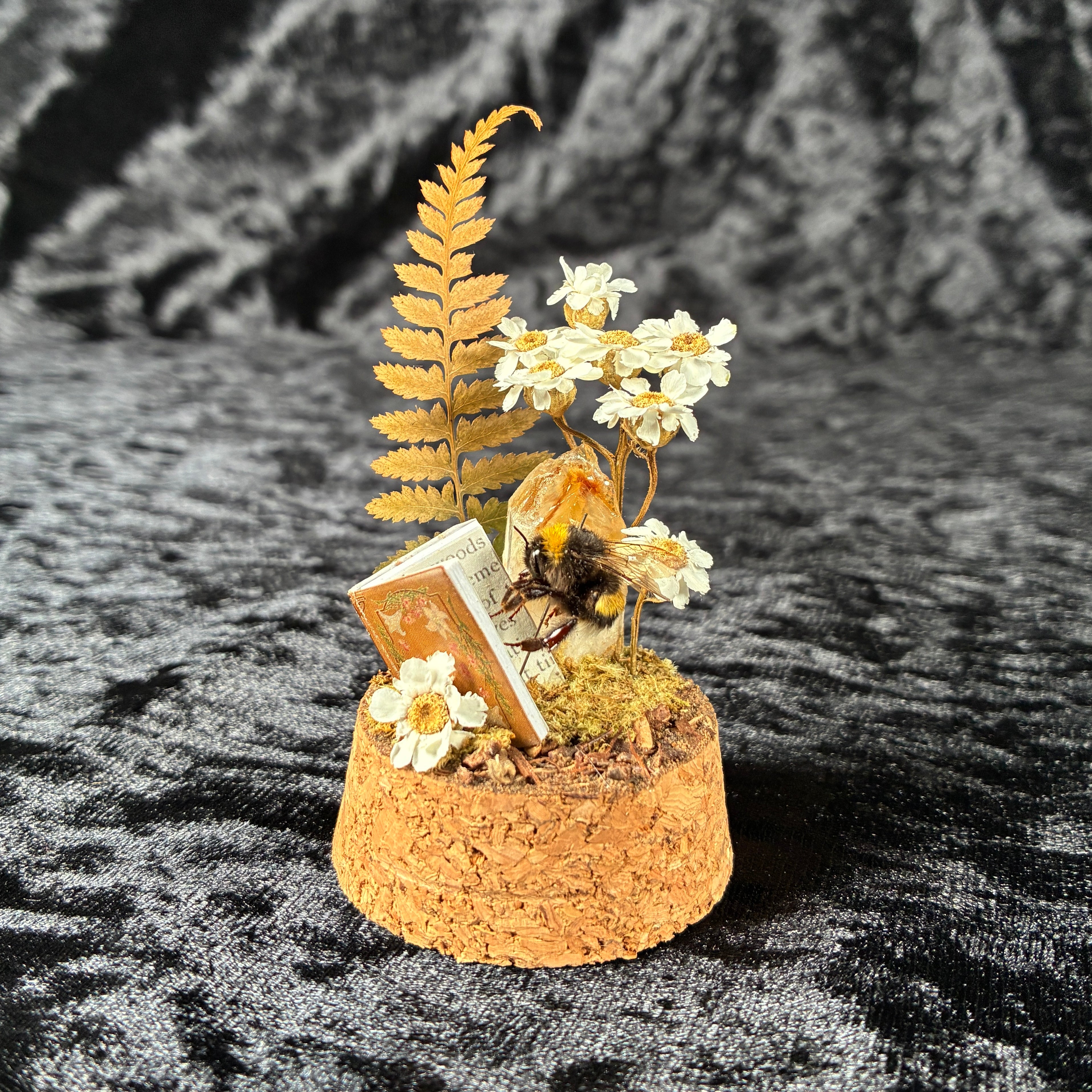 Bumblebee & book dome