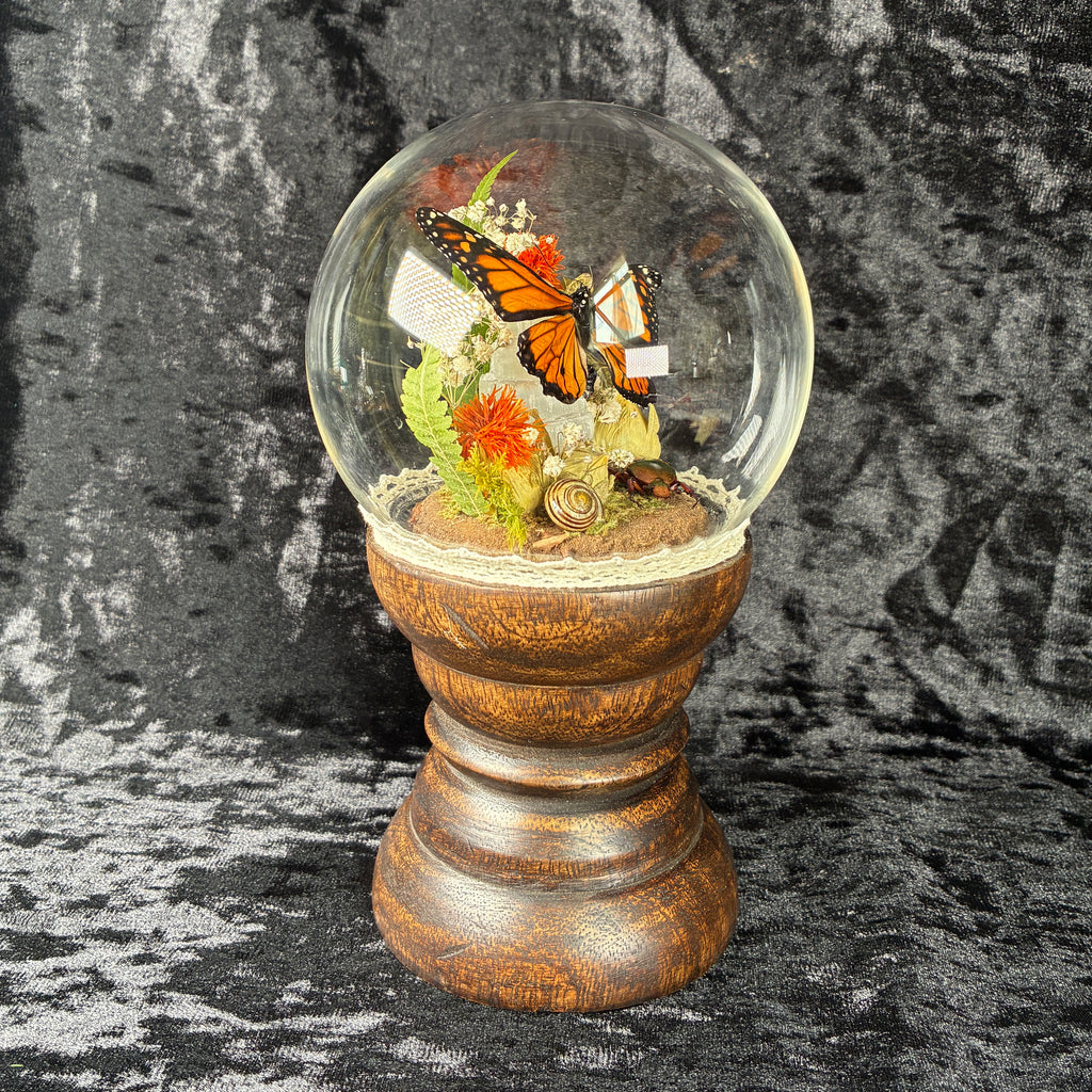 Monarch butterfly specimen dome tower