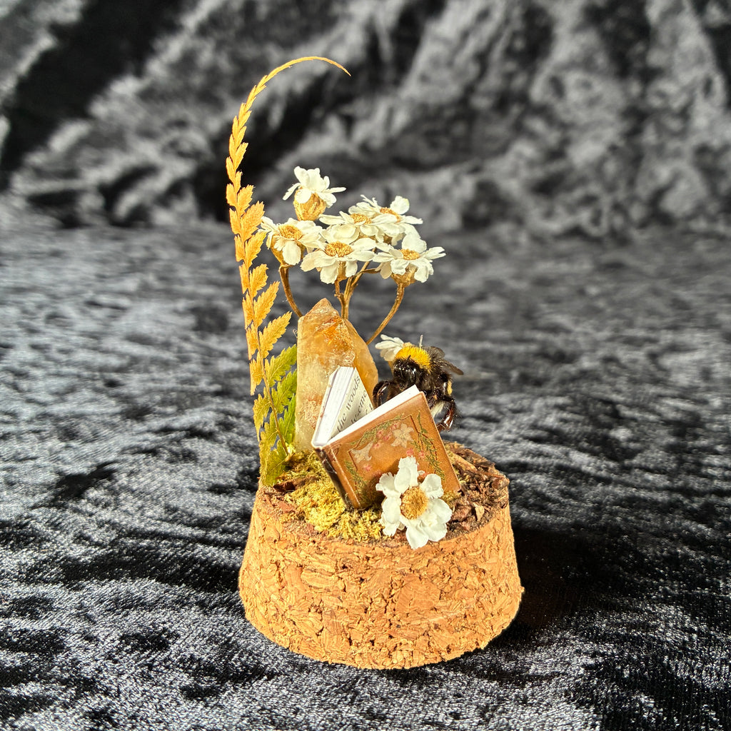 Bumblebee & book dome