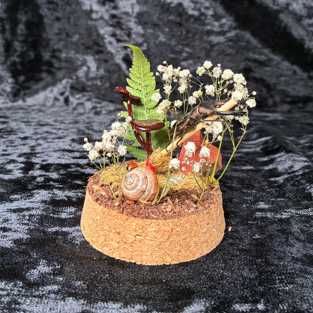 Metallic stag beetle specimen dome