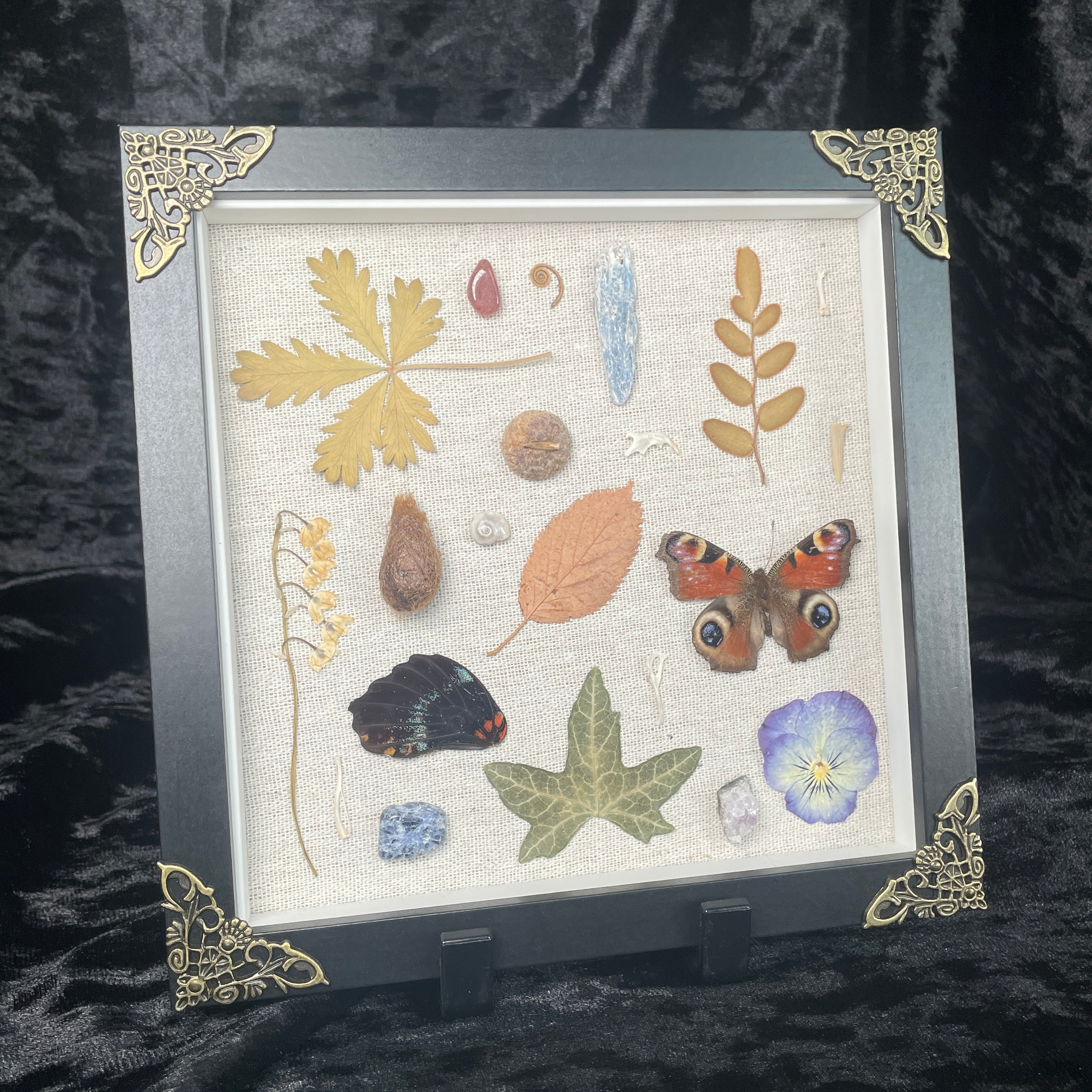 Nature’s treasures frame - peacock butterfly