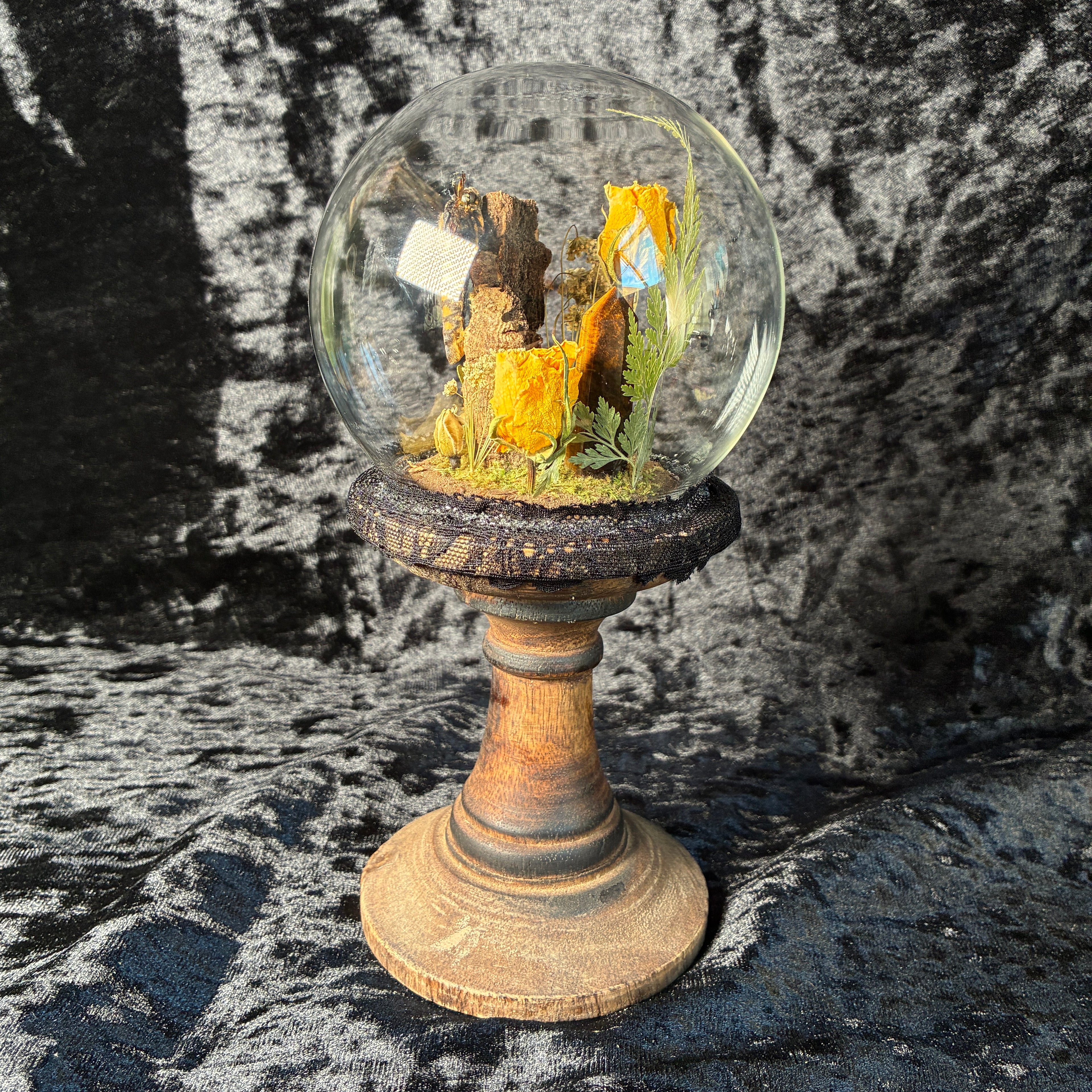 Death’s head hawk-moth dome