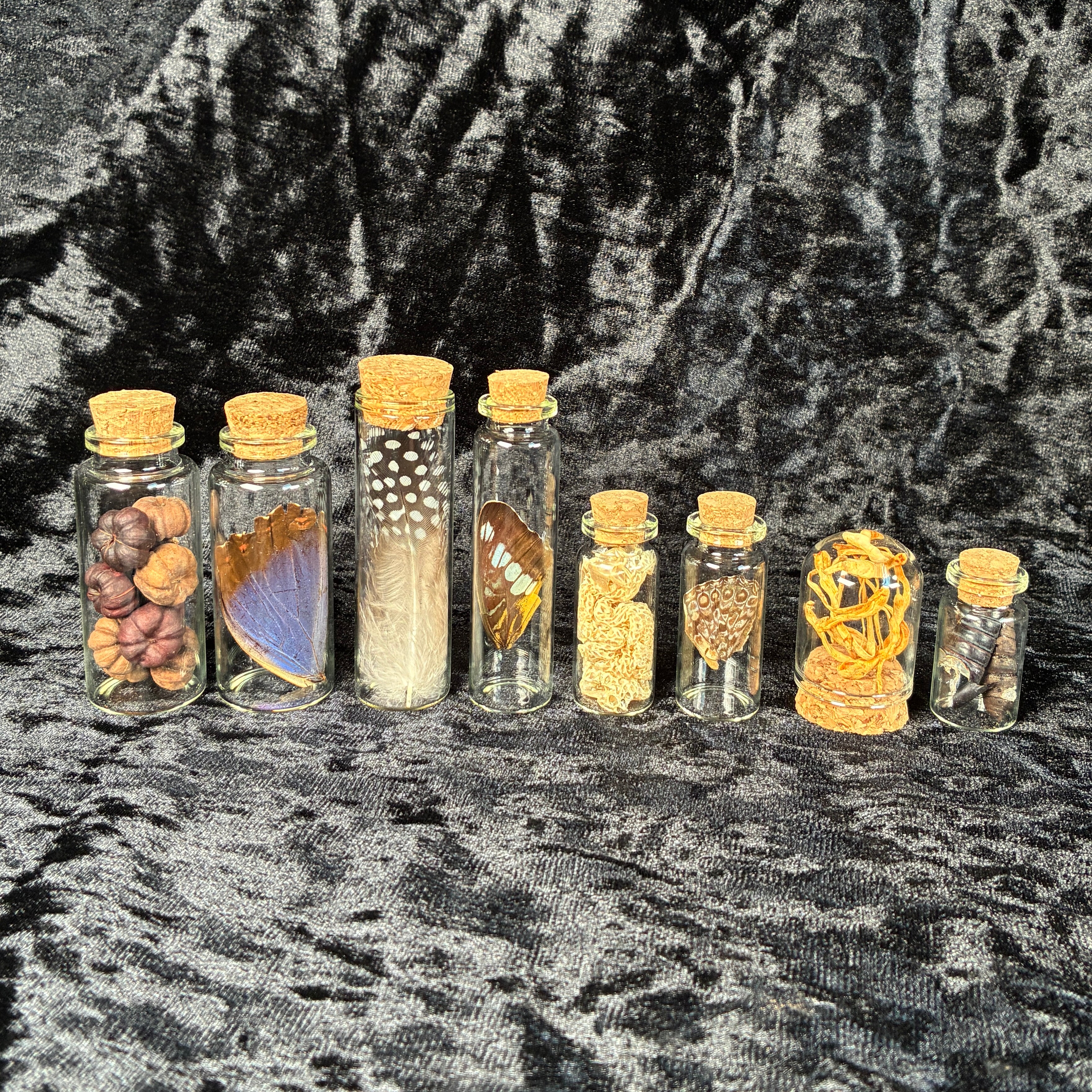Mixed oddity jar/vial bundle